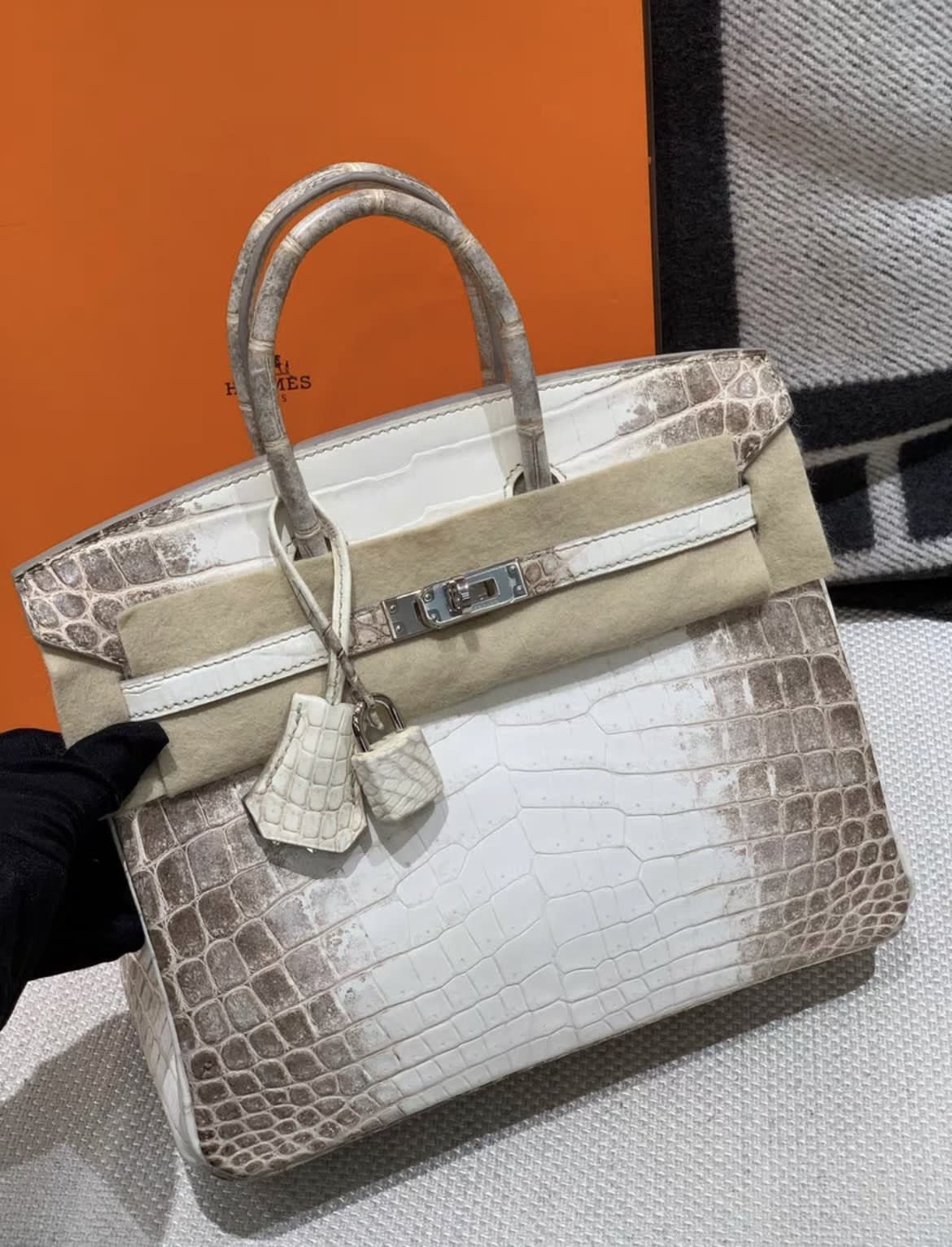 Hermes Birkin 25 Himalaya Palladium Hardware - Image 5