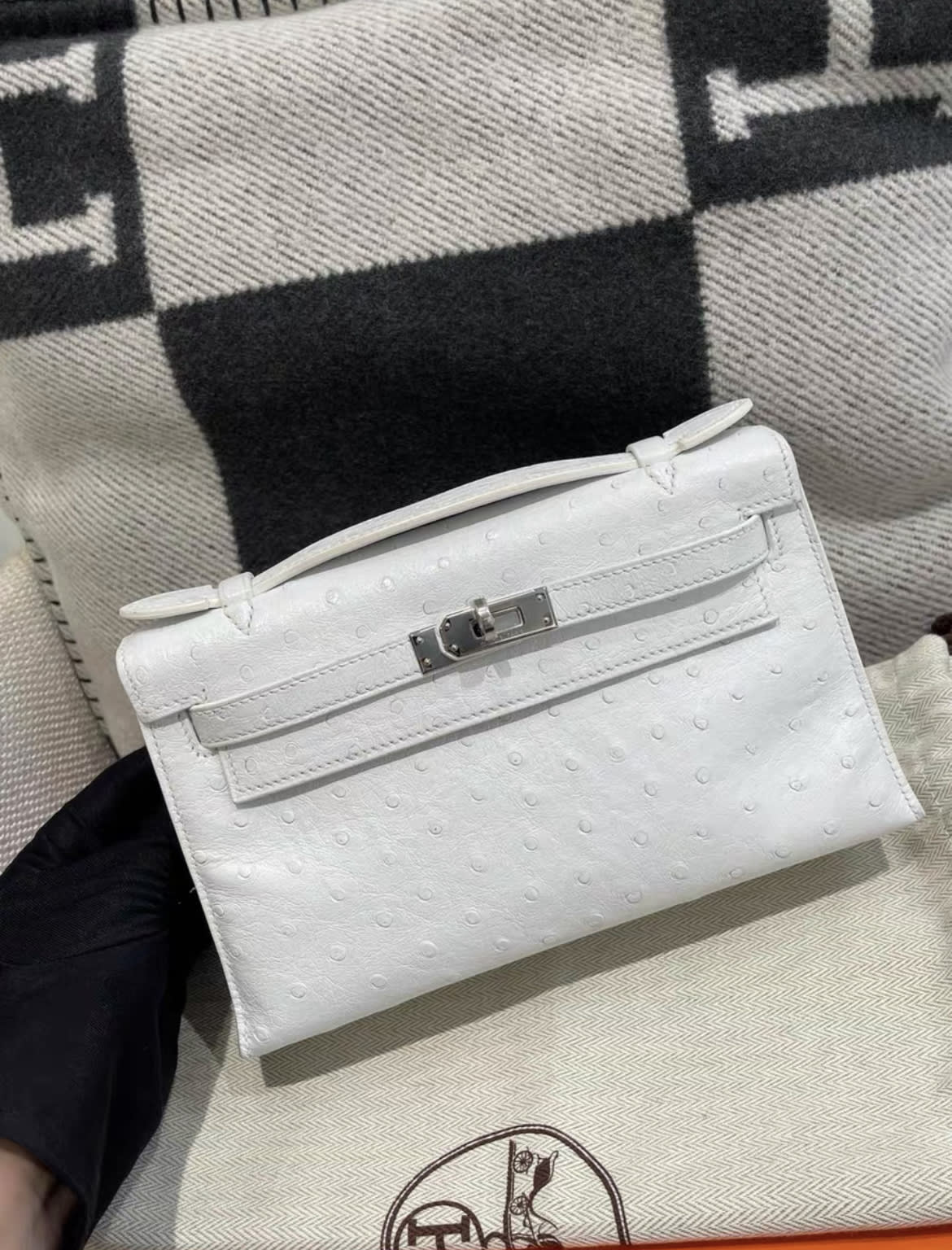 Hermès Kelly Pochette Nata Ostrich Palladium Hardware