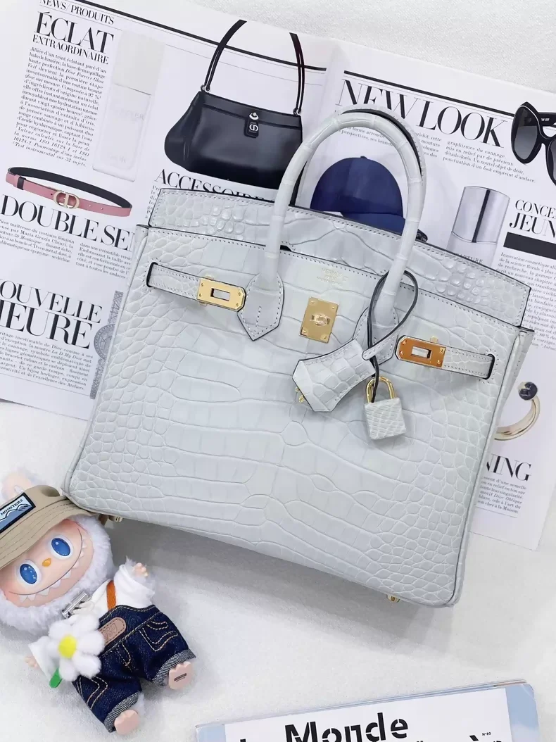 Hermès Birkin 25 Gris Neve 0W matte crocodile leather gold hardware - Image 2