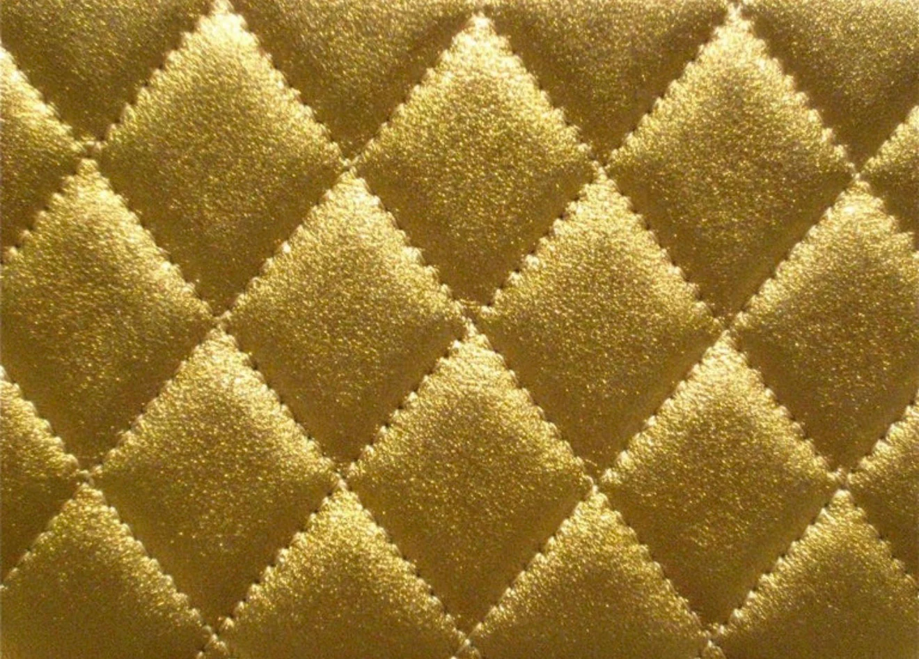 Chanel 2009 Paris Moscow Lion Head Minaudière Clutch - Image 3