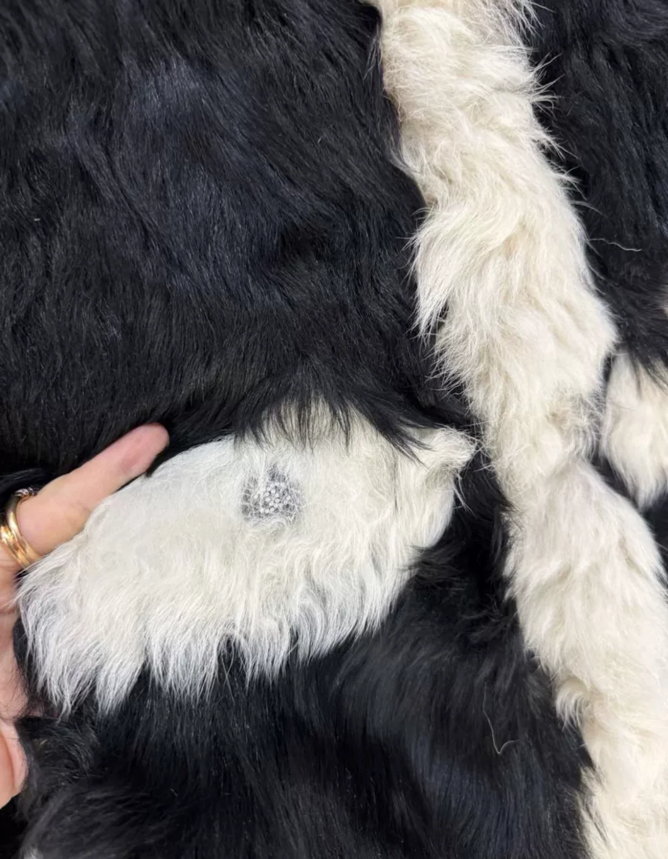 Chanel 21k black and white fur coat - Image 3