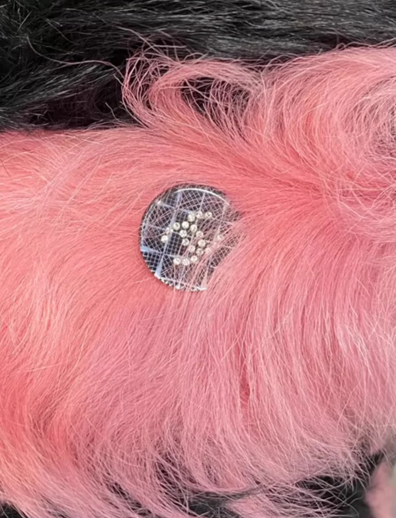 Chanel 21k Shearling Lambskin Black & Pink Vest - Image 3