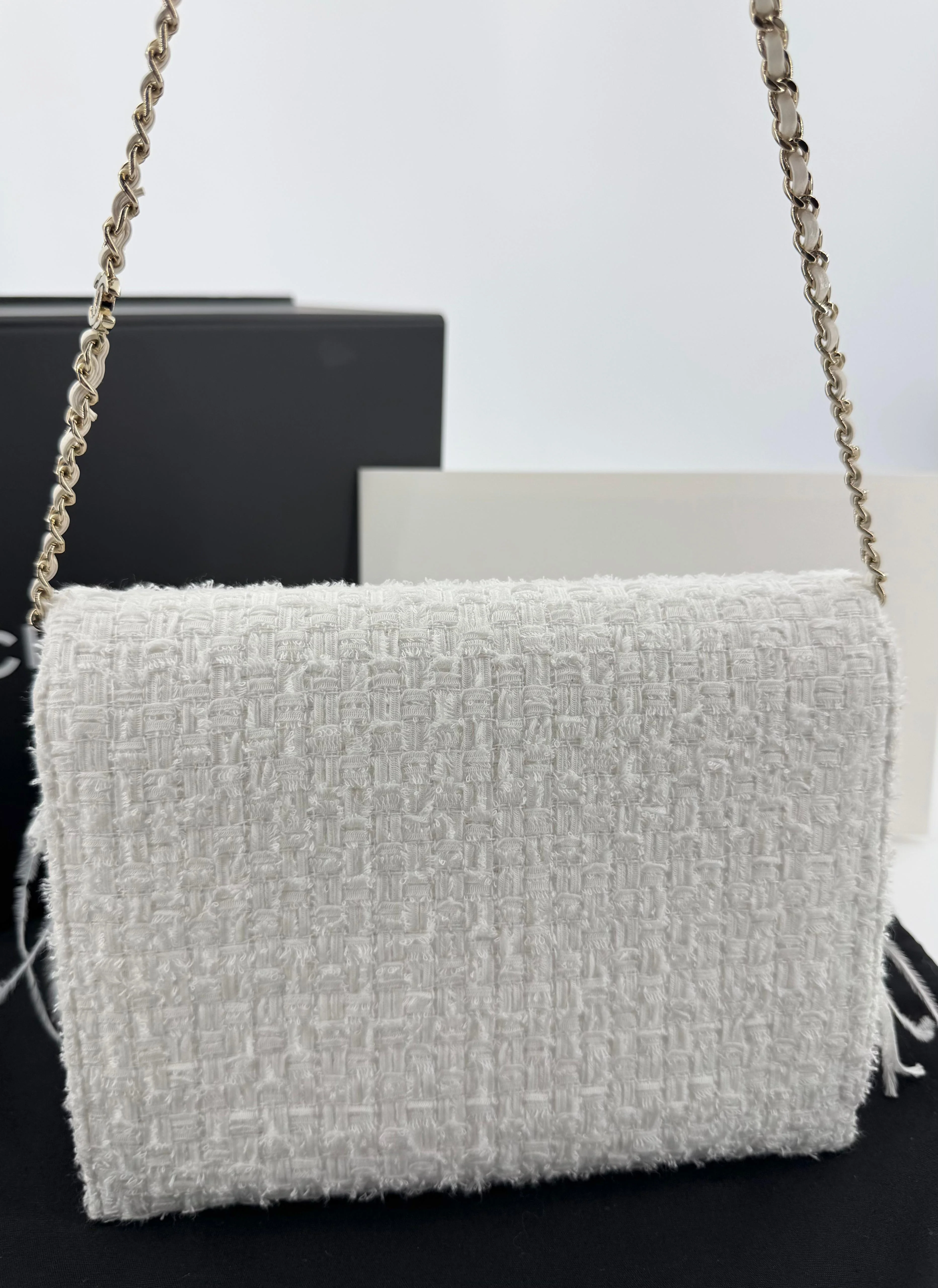 Chanel 25S Embroidered Tweed, Feathers, Imitation Pearls & Gold-Tone Metal Clutch in White - Image 4