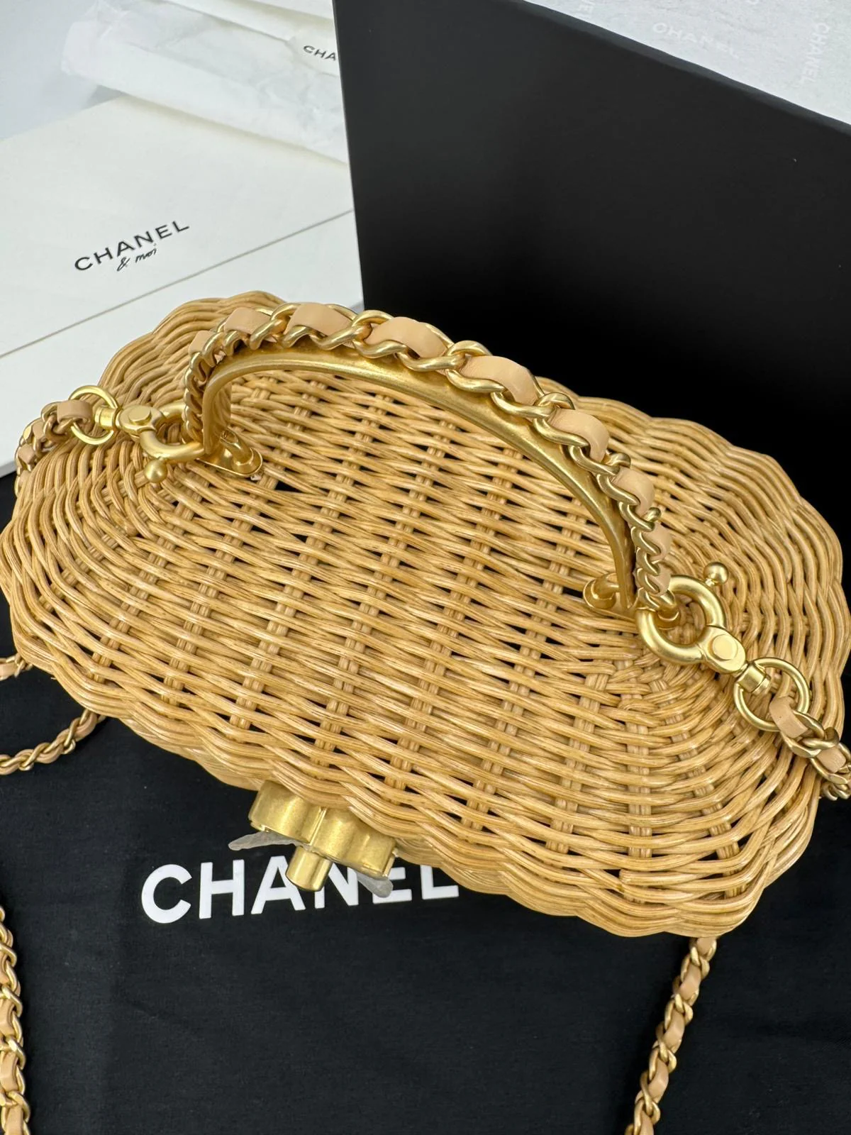 Chanel Cruise 2025/26 Vanity Case - Image 3