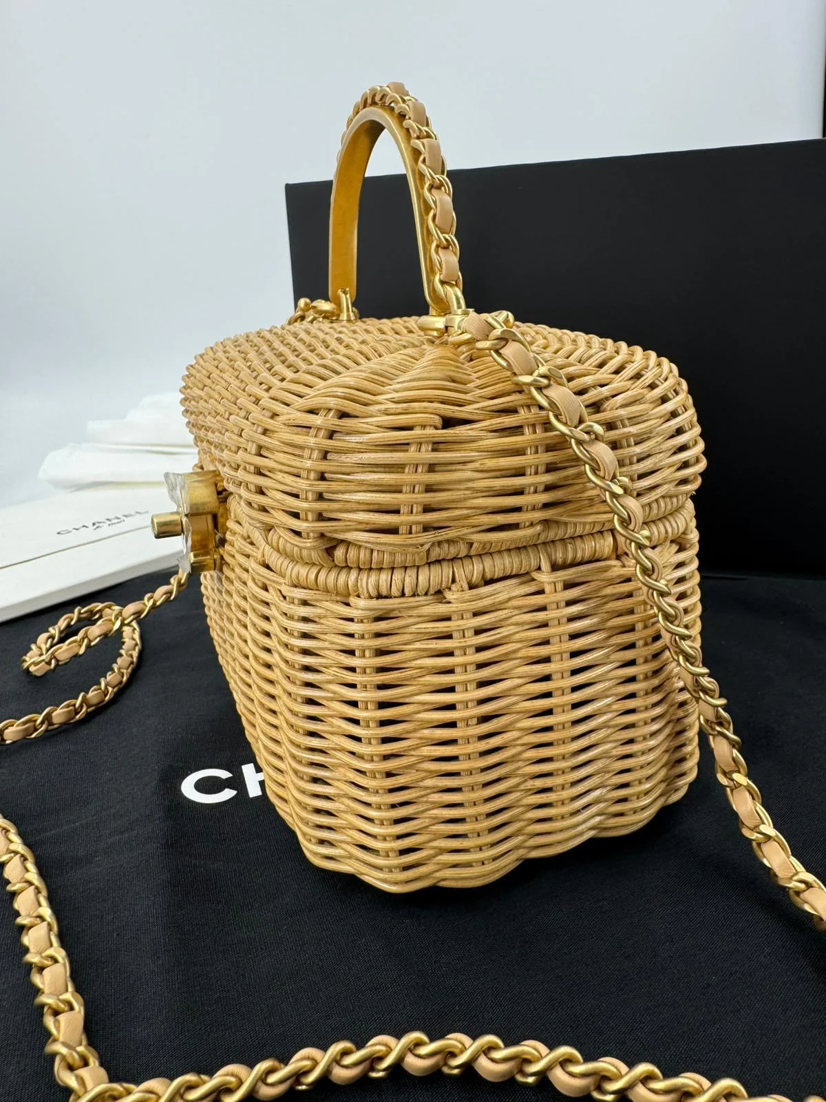 Chanel Cruise 2025/26 Vanity Case - Image 4