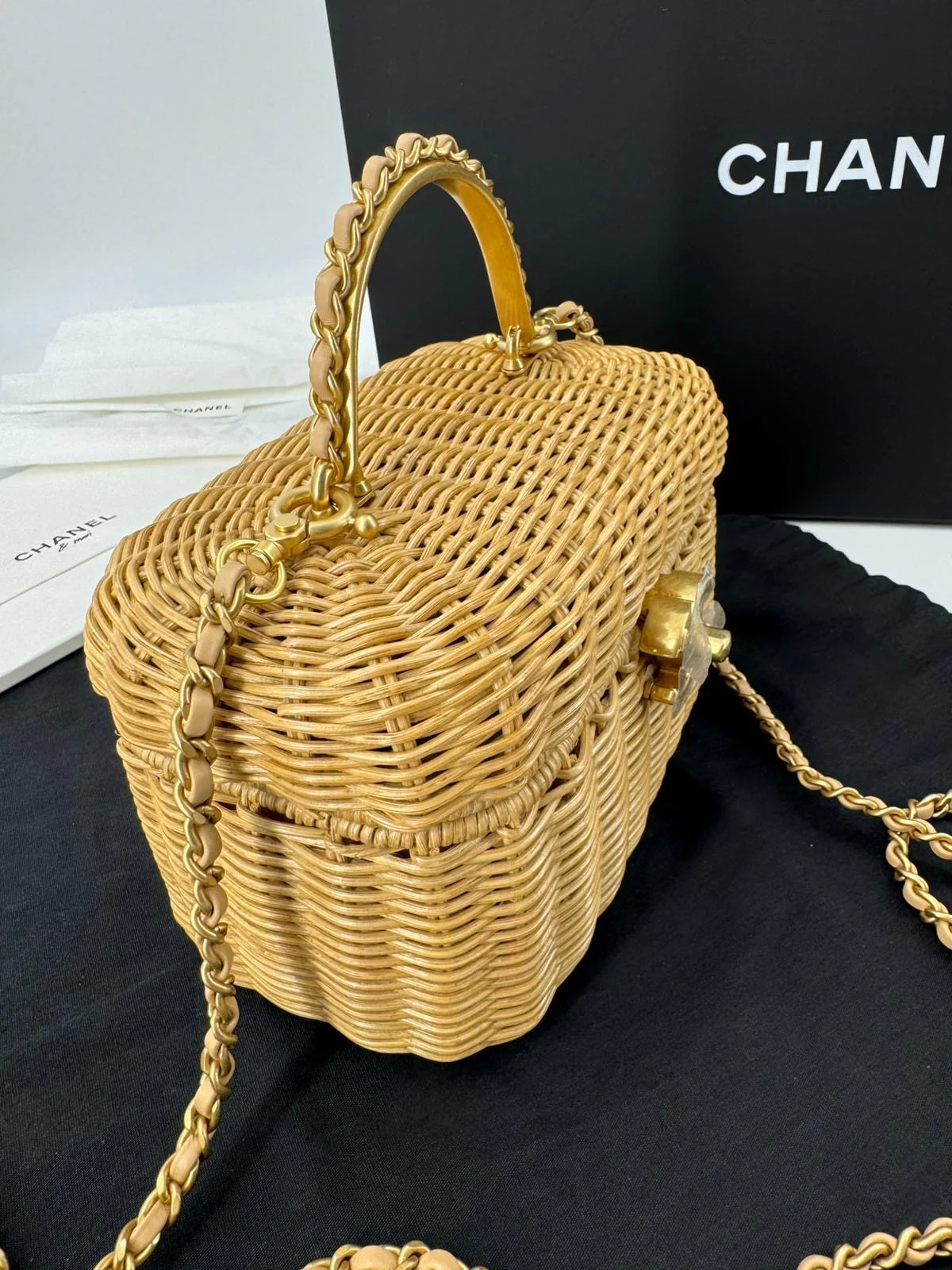 Chanel Cruise 2025/26 Vanity Case - Image 5