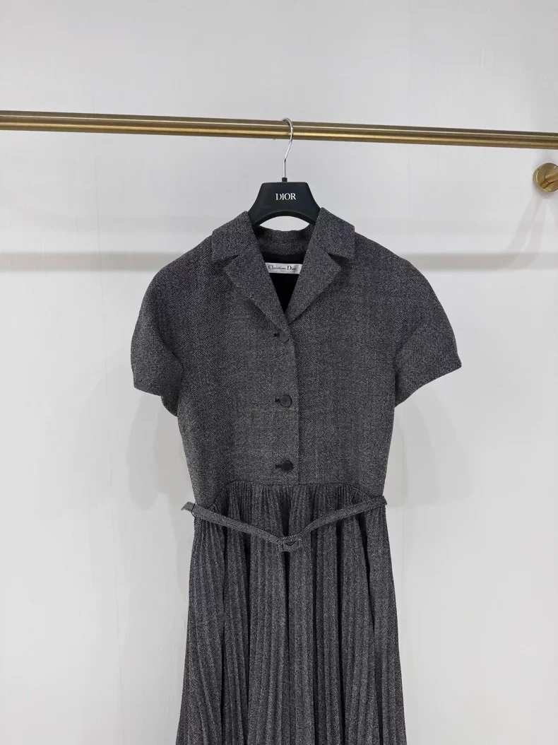 Dior 24 Early Spring Grey Pleated Elegant Full Skirt Dress - Image 2