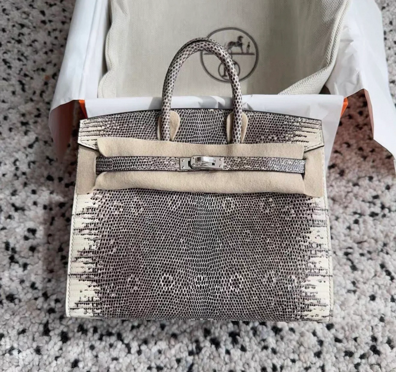 HermÚs Birkin 20 Lizard Ombré leather palladium hardware