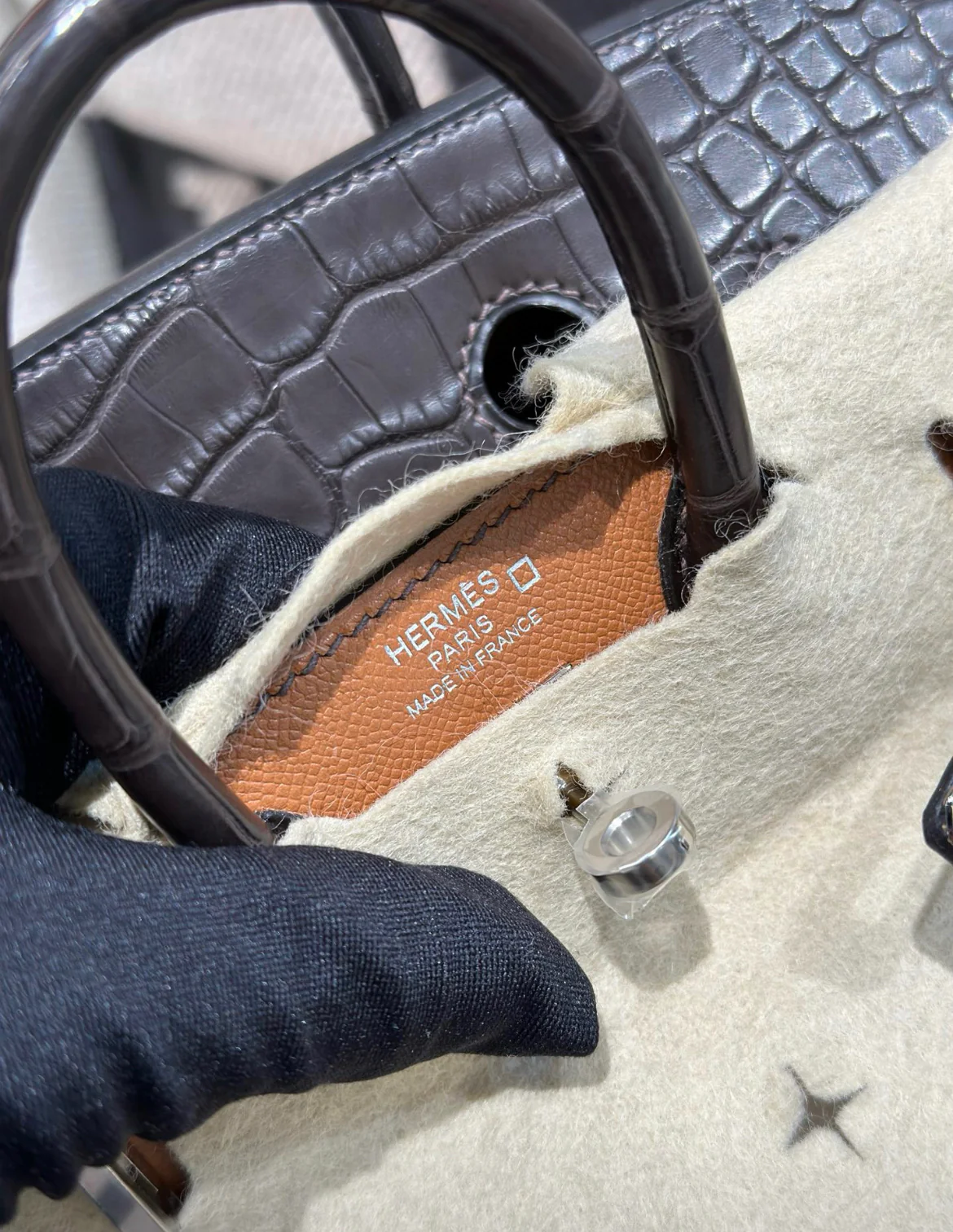 HERMÈS BIRKIN 20 SELLIER FAUBOURG HOUSE BROWN MATTE ALLIGATOR PALLADIUM HARDWARE - Image 6