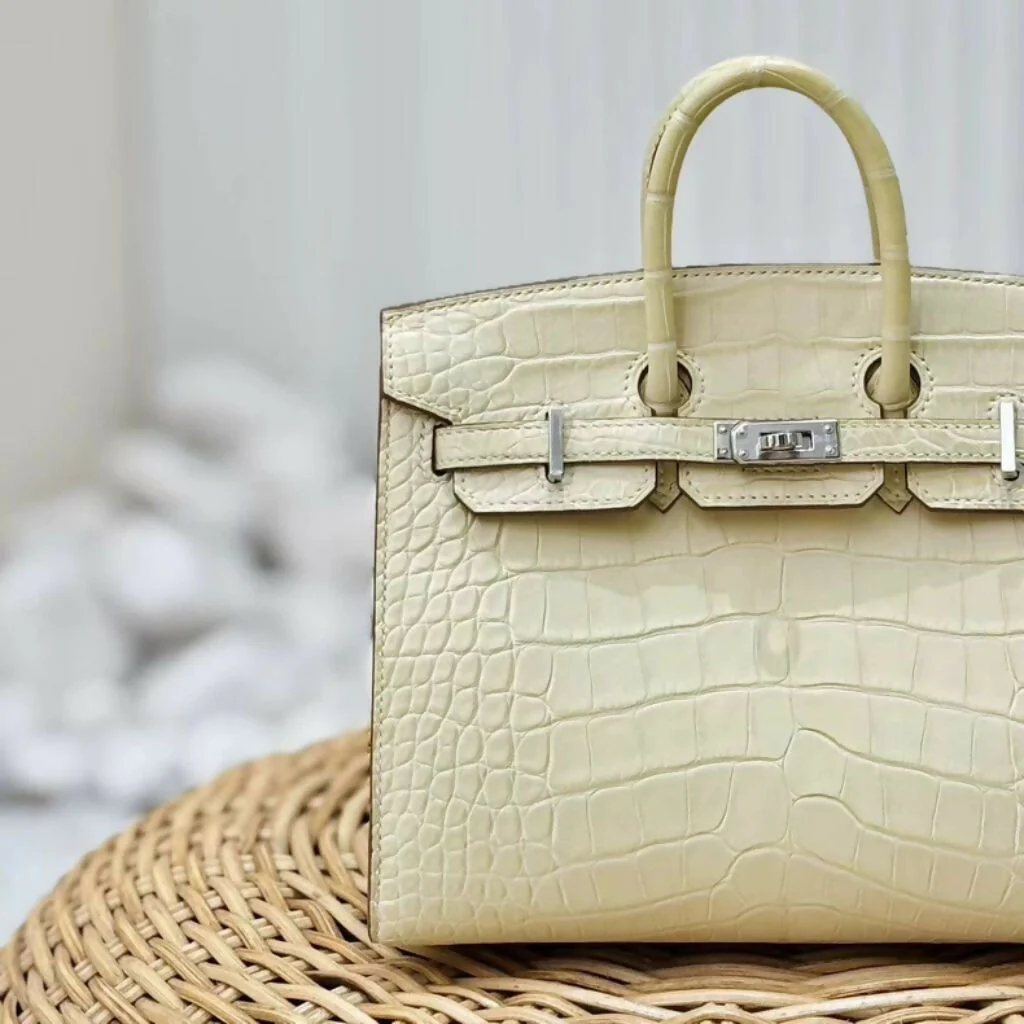 Hermes Birkin 20 Y1 Vanille Matte Crocodile Leather Palladium Hardware - Image 2