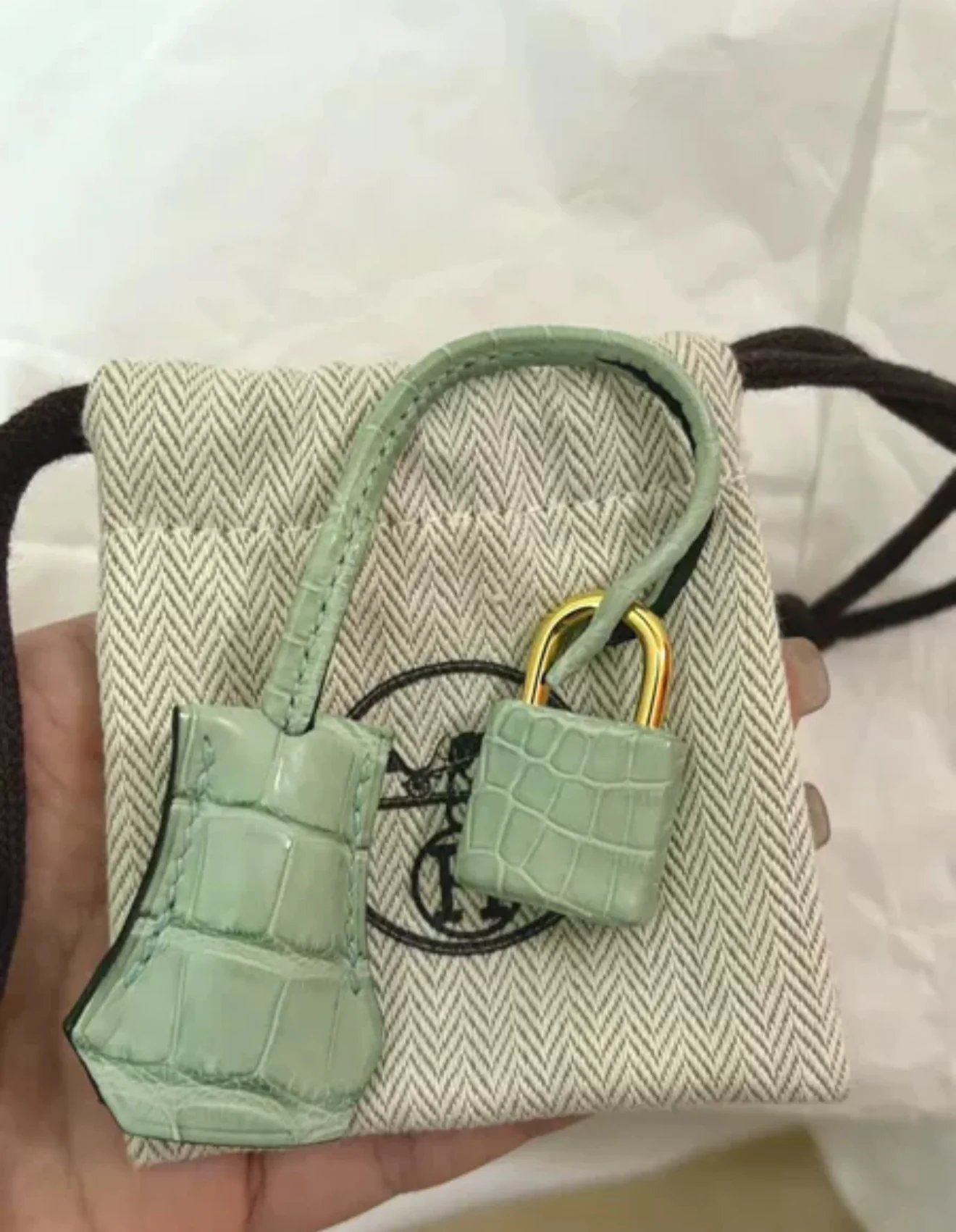 Hermès Birkin 20 Vert d'Eau Matt Alligator Gold Hardware - Image 7