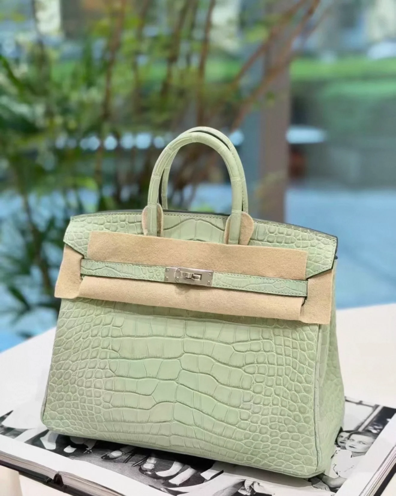 Hermès Birkin 25 6U Vert d'eau Crocodile Leather Palladium Hardware - Image 2