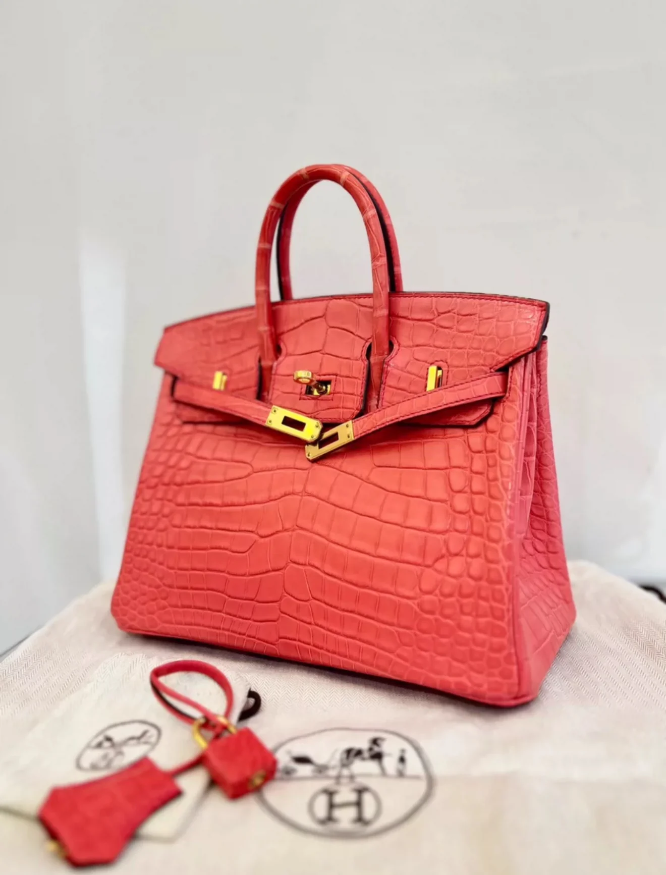 HERMÈS BIRKIN 25 BOUGAINVILLEA MATTE ALLIGATOR GOLD HARDWARE - Image 5