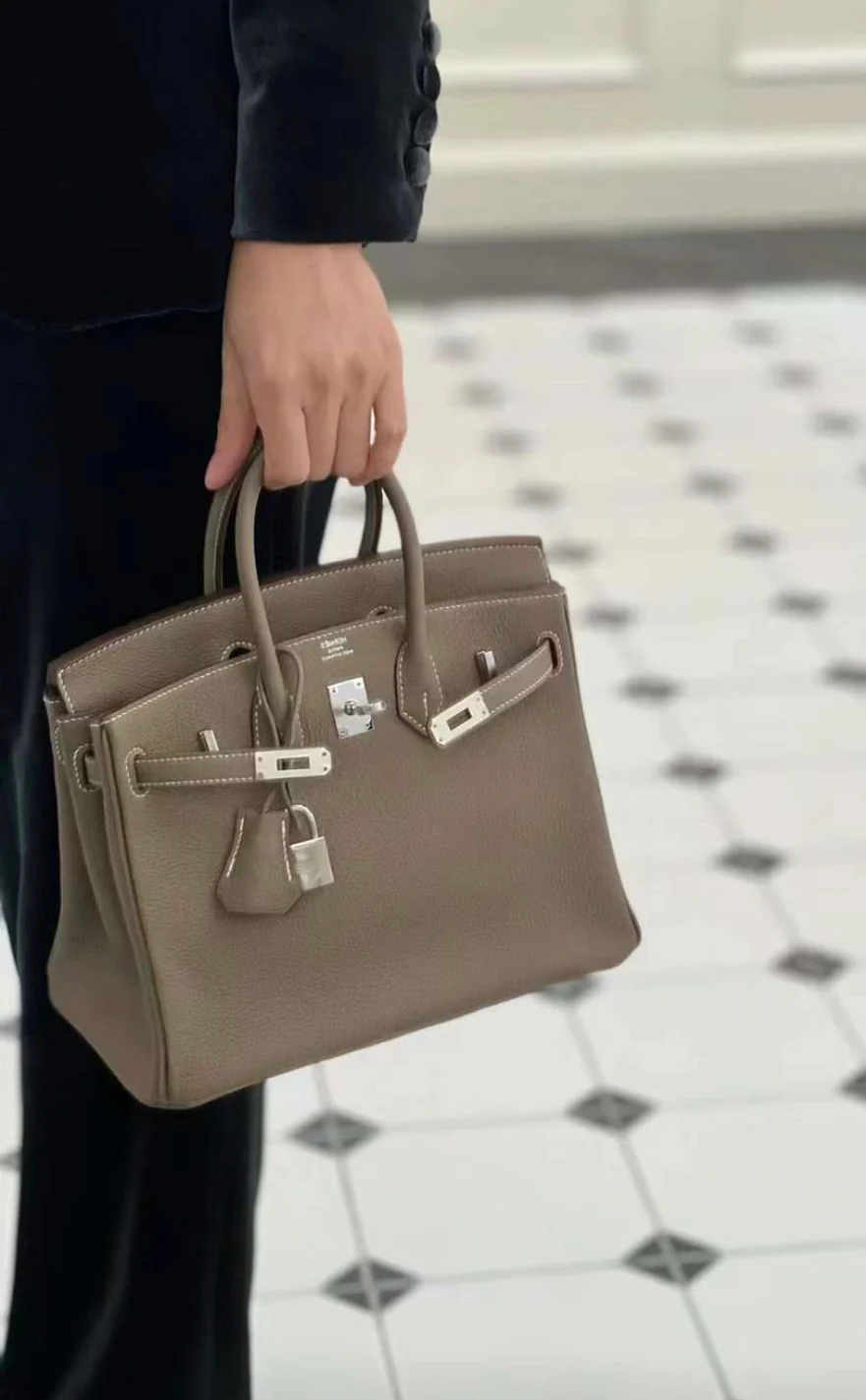 HERMES Birkin 25 Etoupe Togo Palladium Hardware - Image 7