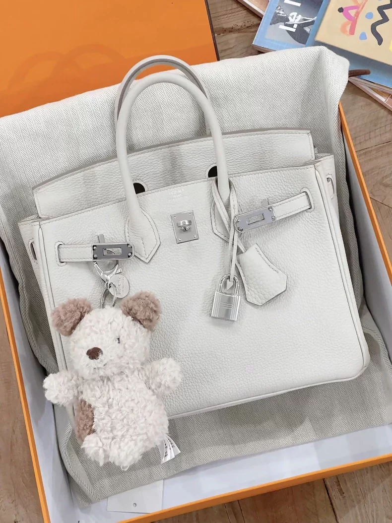 Hermès Birkin 25 White Beton 8L Togo Leather Palladium hardware - Image 2