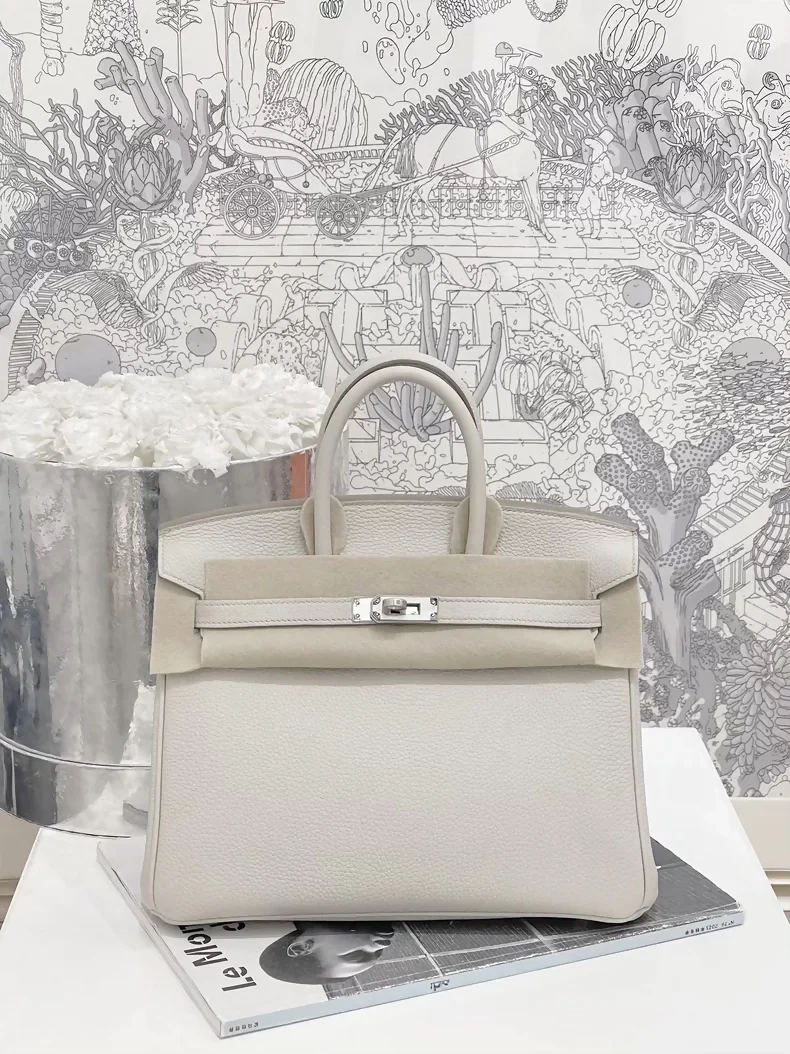 Hermès Birkin 25 White Beton 8L Togo Leather Palladium hardware - Image 3