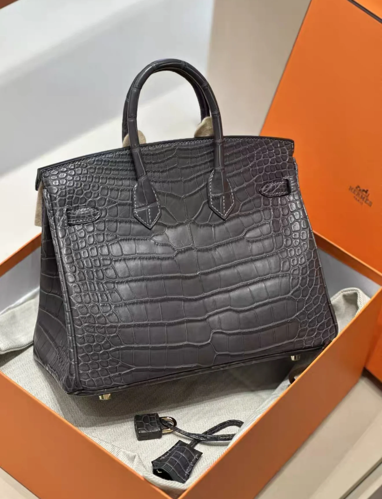 Hermès Birkin 25 Graphite Matte Alligator L’éther Gold Hardware - Image 2