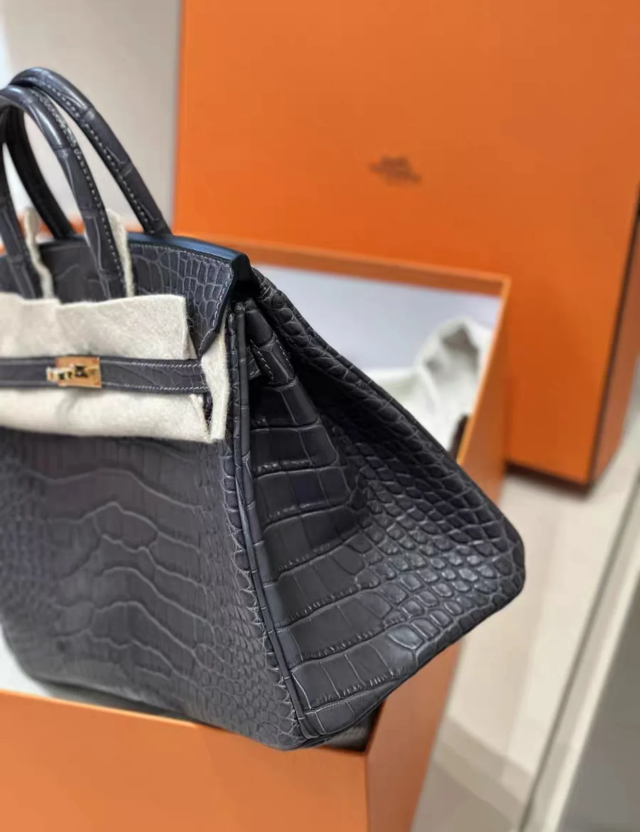 Hermès Birkin 25 Graphite Matte Alligator L’éther Gold Hardware - Image 4