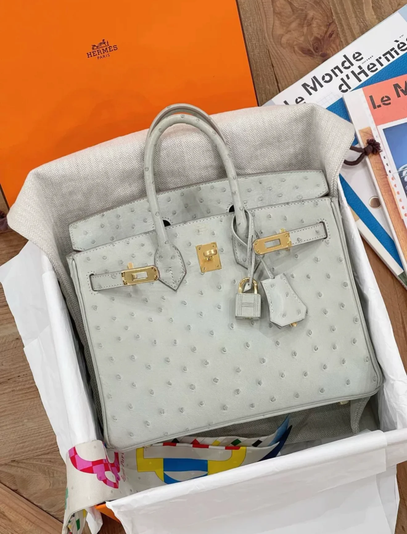 Hermès Birkin 25 Gris Perle Ostrich Gold Hardware - Image 2