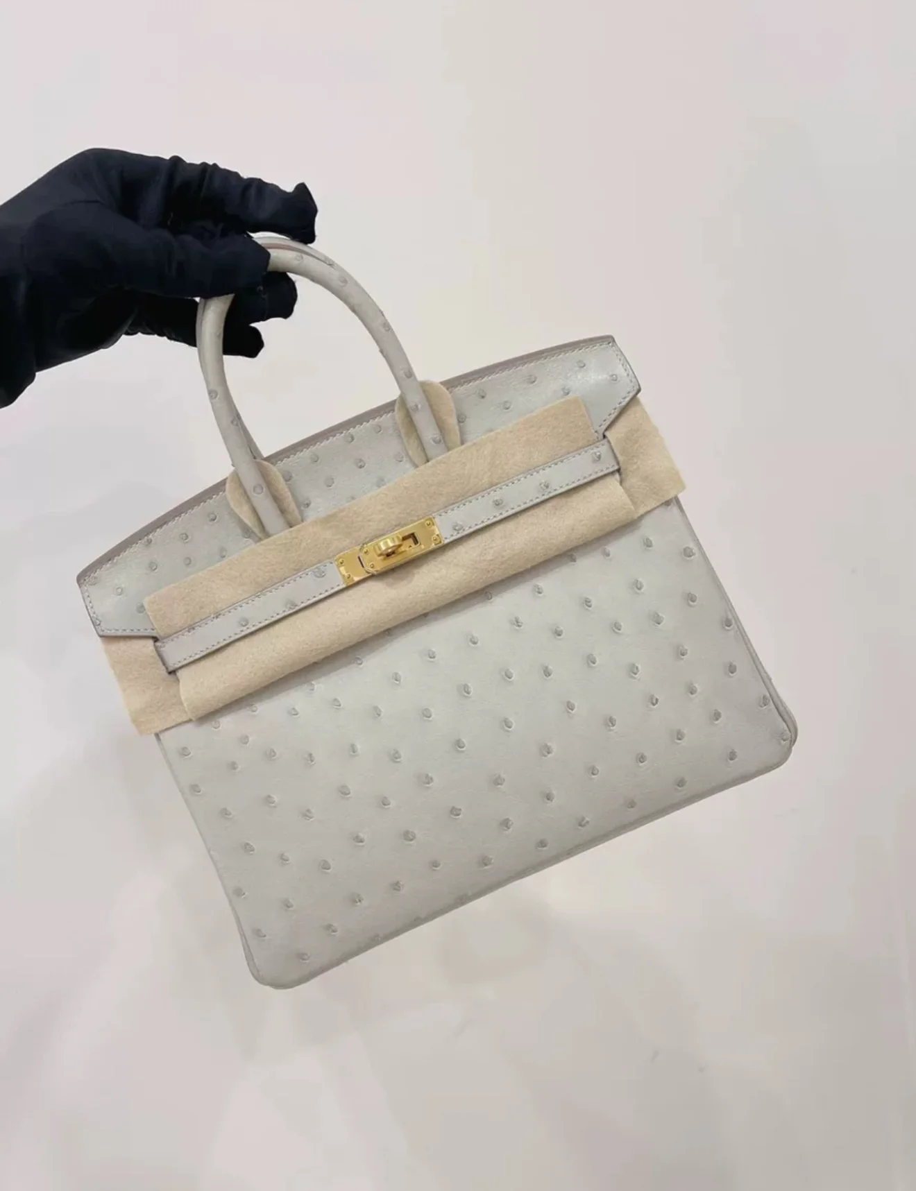 Hermès Birkin 25 Gris Perle Ostrich Gold Hardware - Image 3