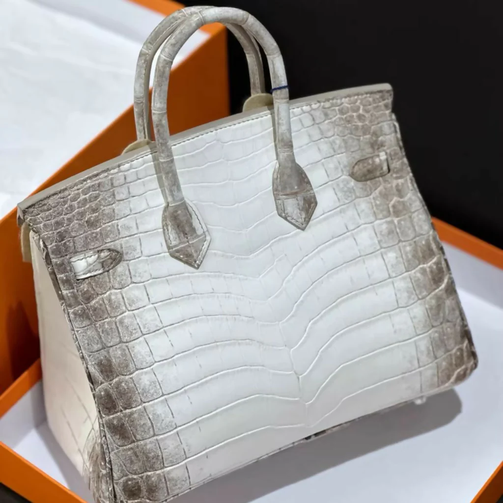 Hermes Birkin 25 Himalaya Matte Crocodile palladium hardware - Image 2