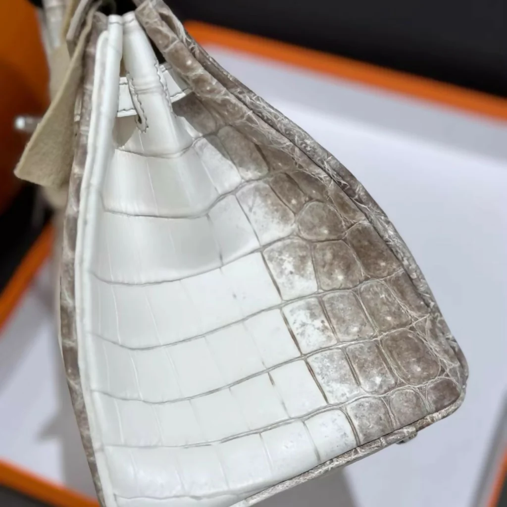 Hermes Birkin 25 Himalaya Matte Crocodile palladium hardware - Image 3
