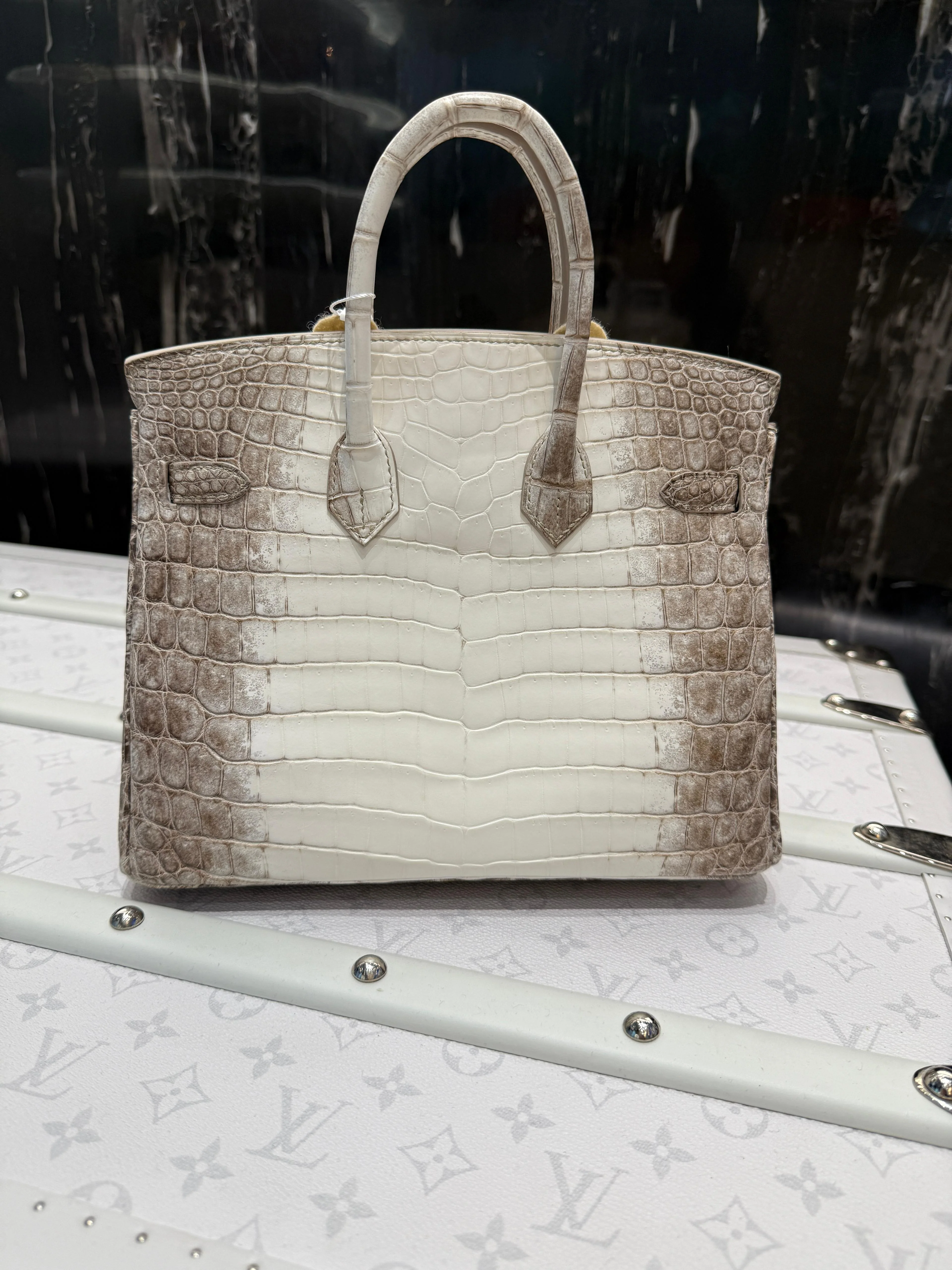 Hermès Birkin 25 Himalaya Niloticus Crocodile Diamond Encrusted Hardware - Image 14