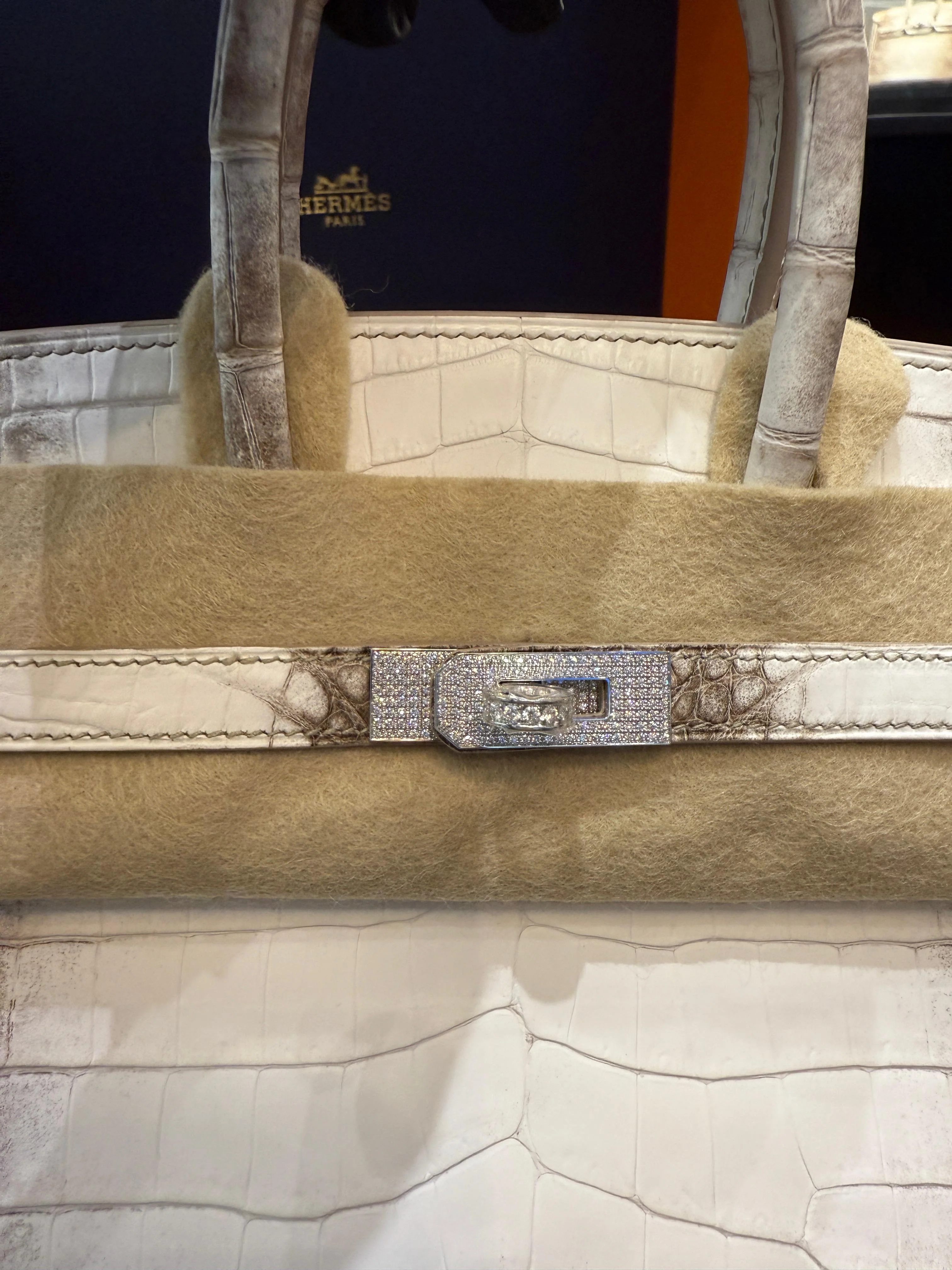 Hermès Birkin 25 Himalaya Niloticus Crocodile Diamond Encrusted Hardware - Image 2