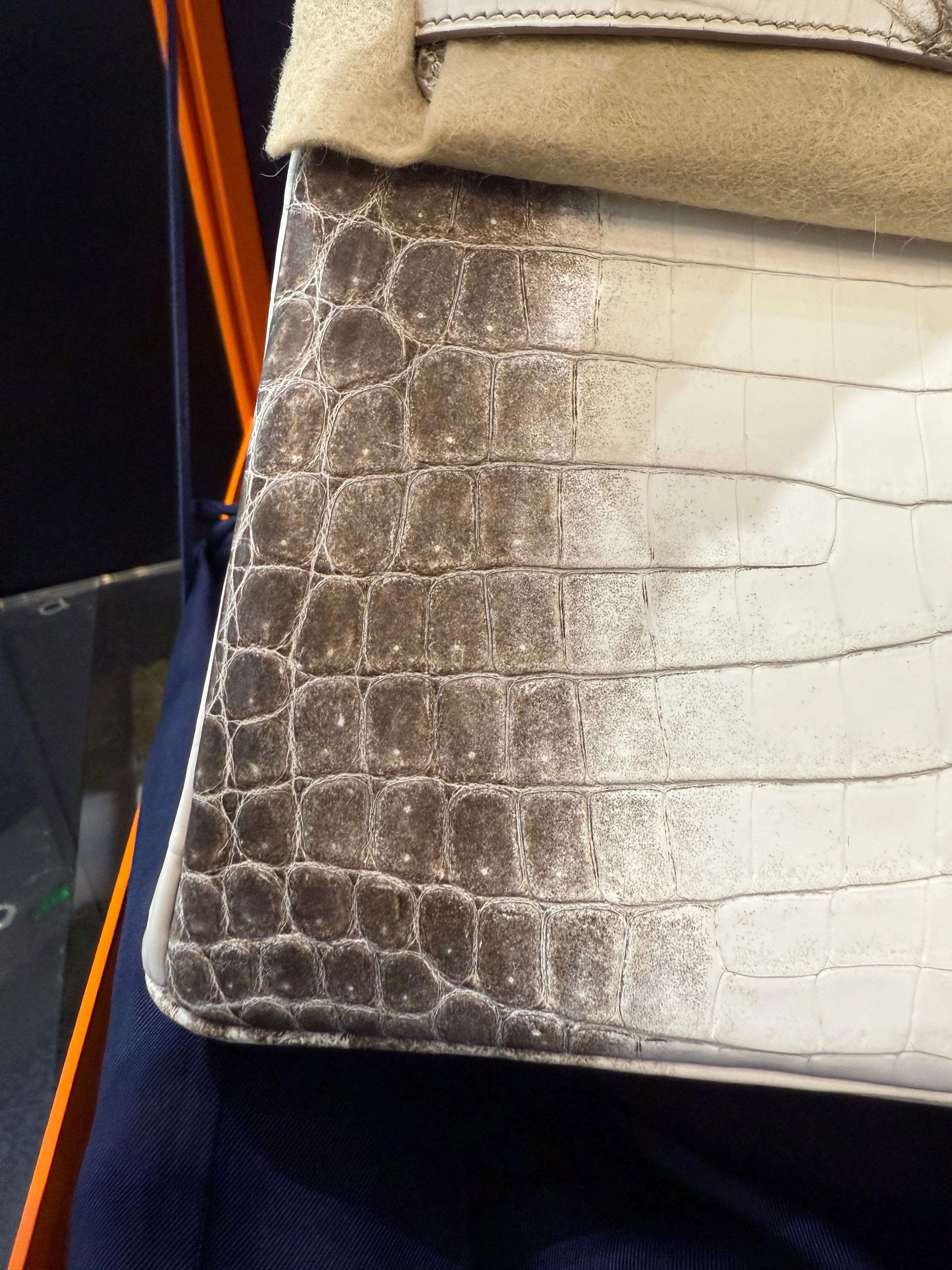 Hermès Birkin 25 Himalaya Niloticus Crocodile Diamond Encrusted Hardware - Image 3