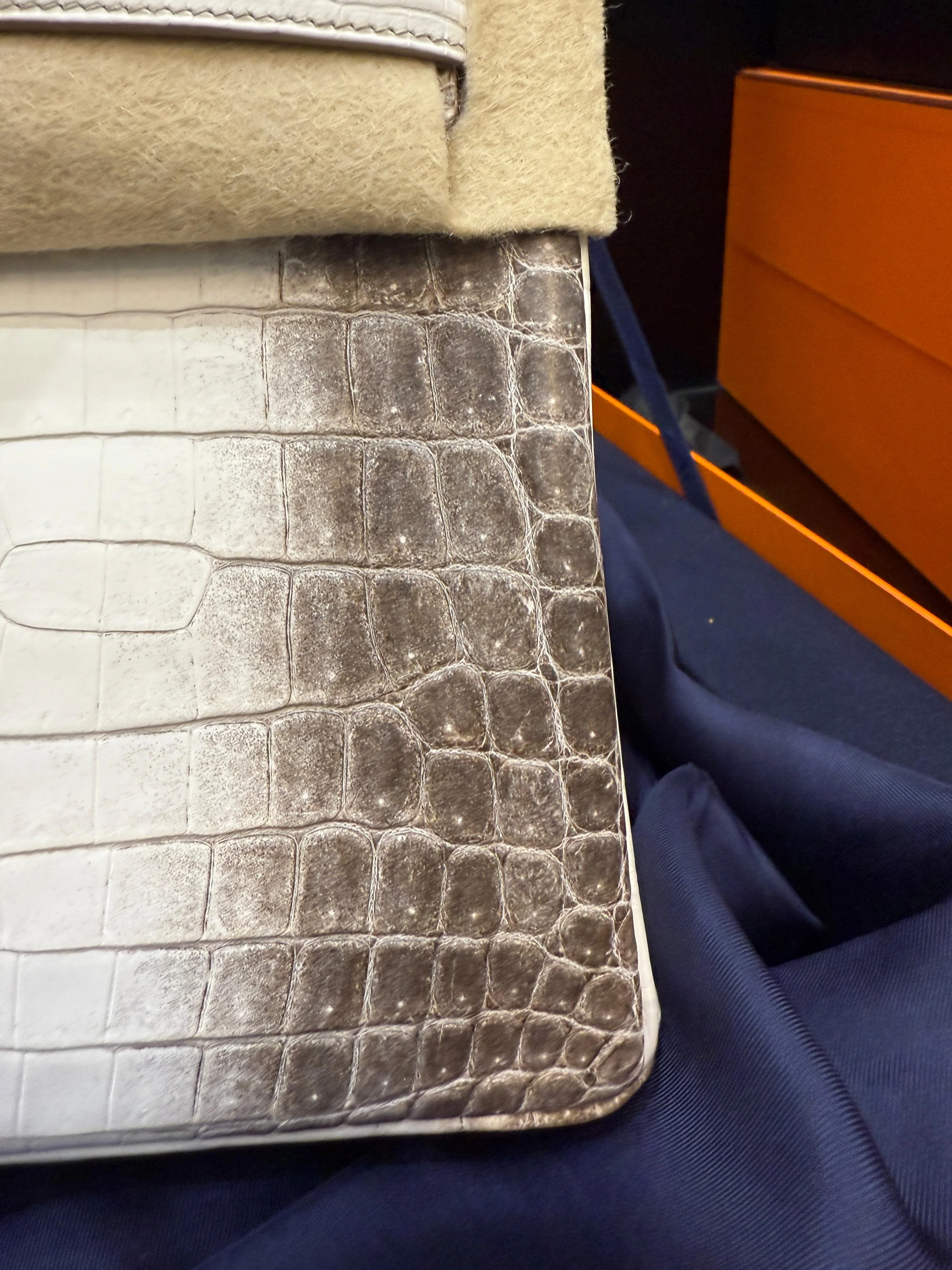 Hermès Birkin 25 Himalaya Niloticus Crocodile Diamond Encrusted Hardware - Image 4