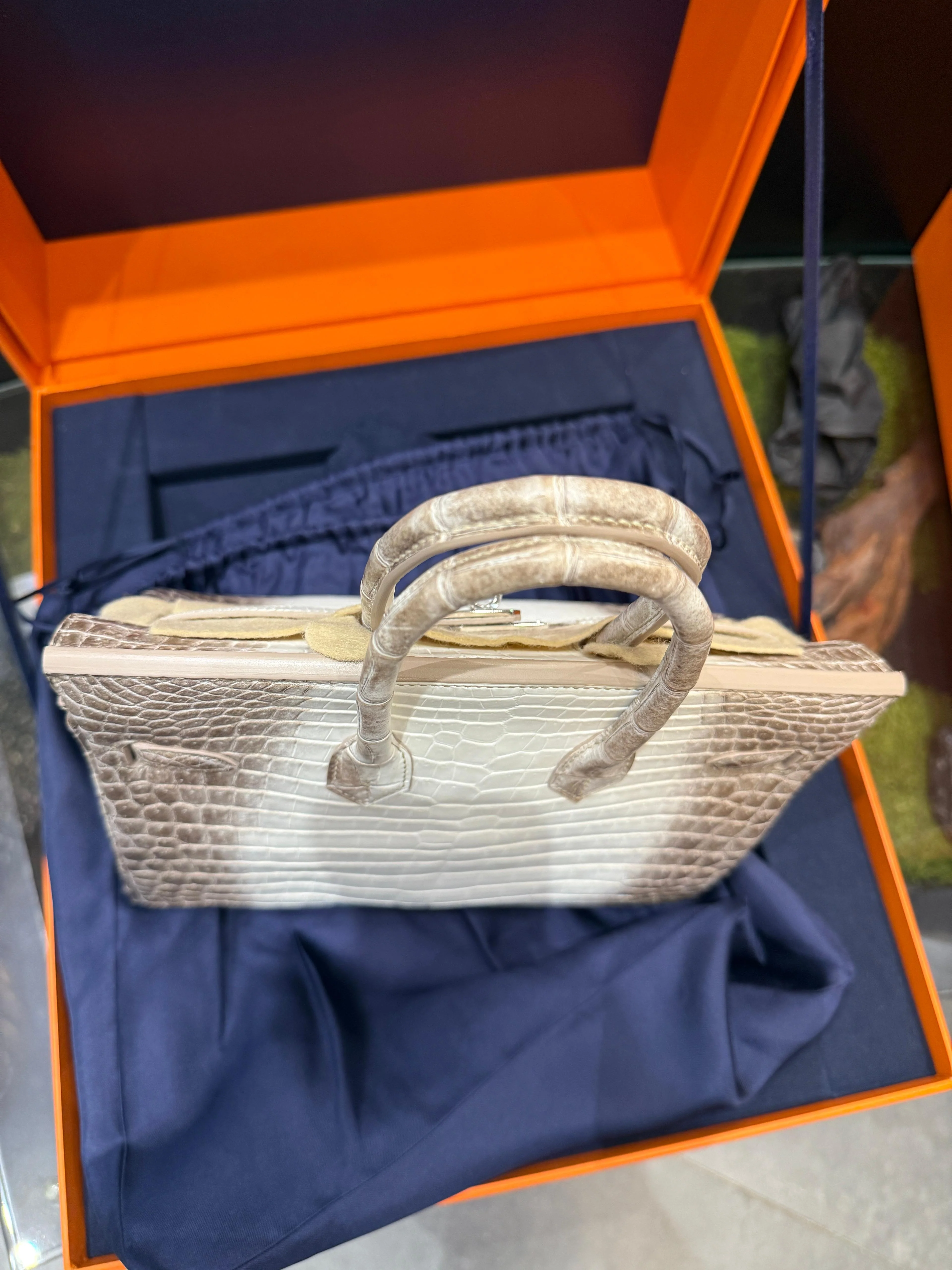 Hermès Birkin 25 Himalaya Niloticus Crocodile Diamond Encrusted Hardware - Image 5