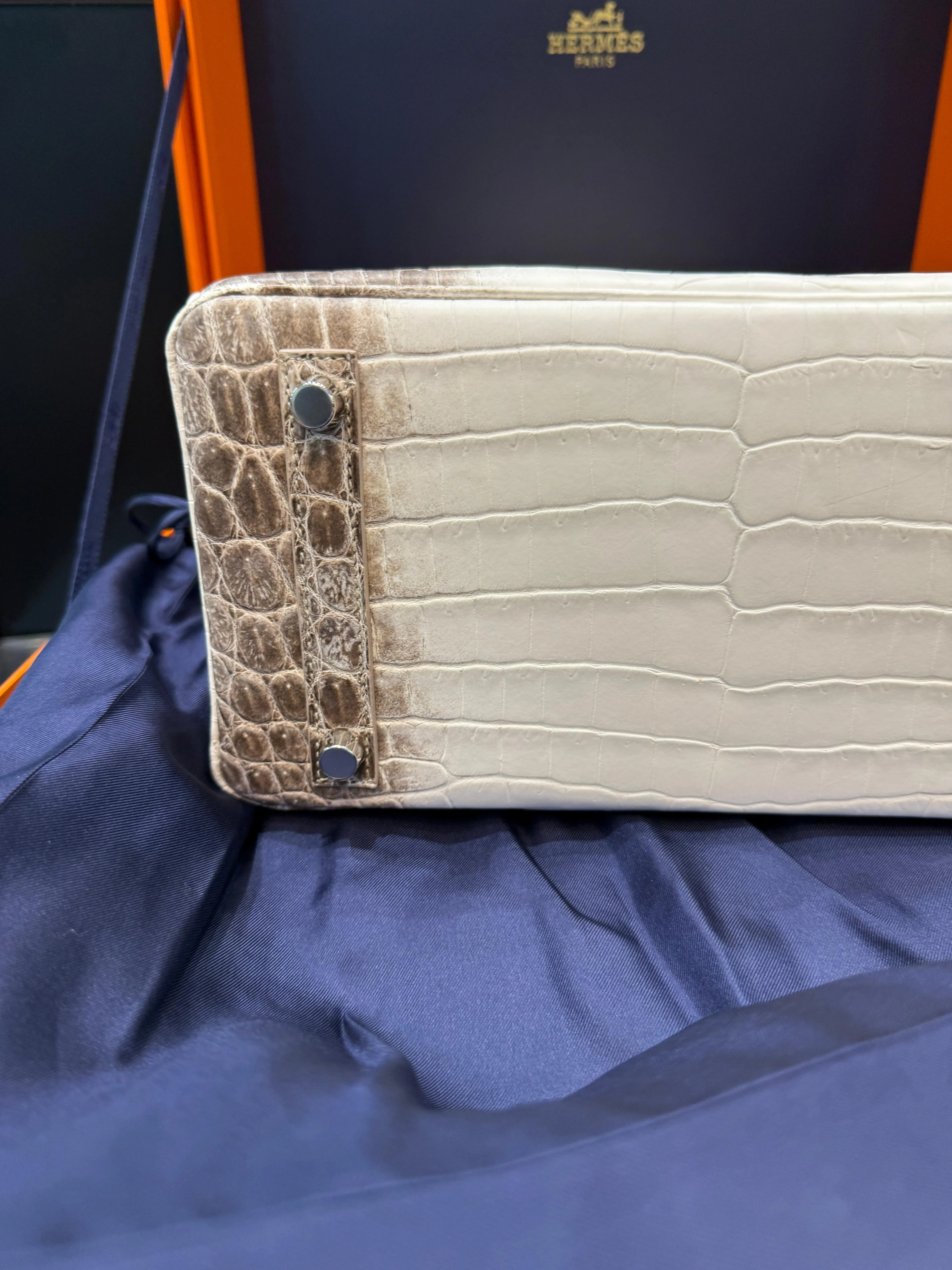 Hermès Birkin 25 Himalaya Niloticus Crocodile Diamond Encrusted Hardware - Image 7