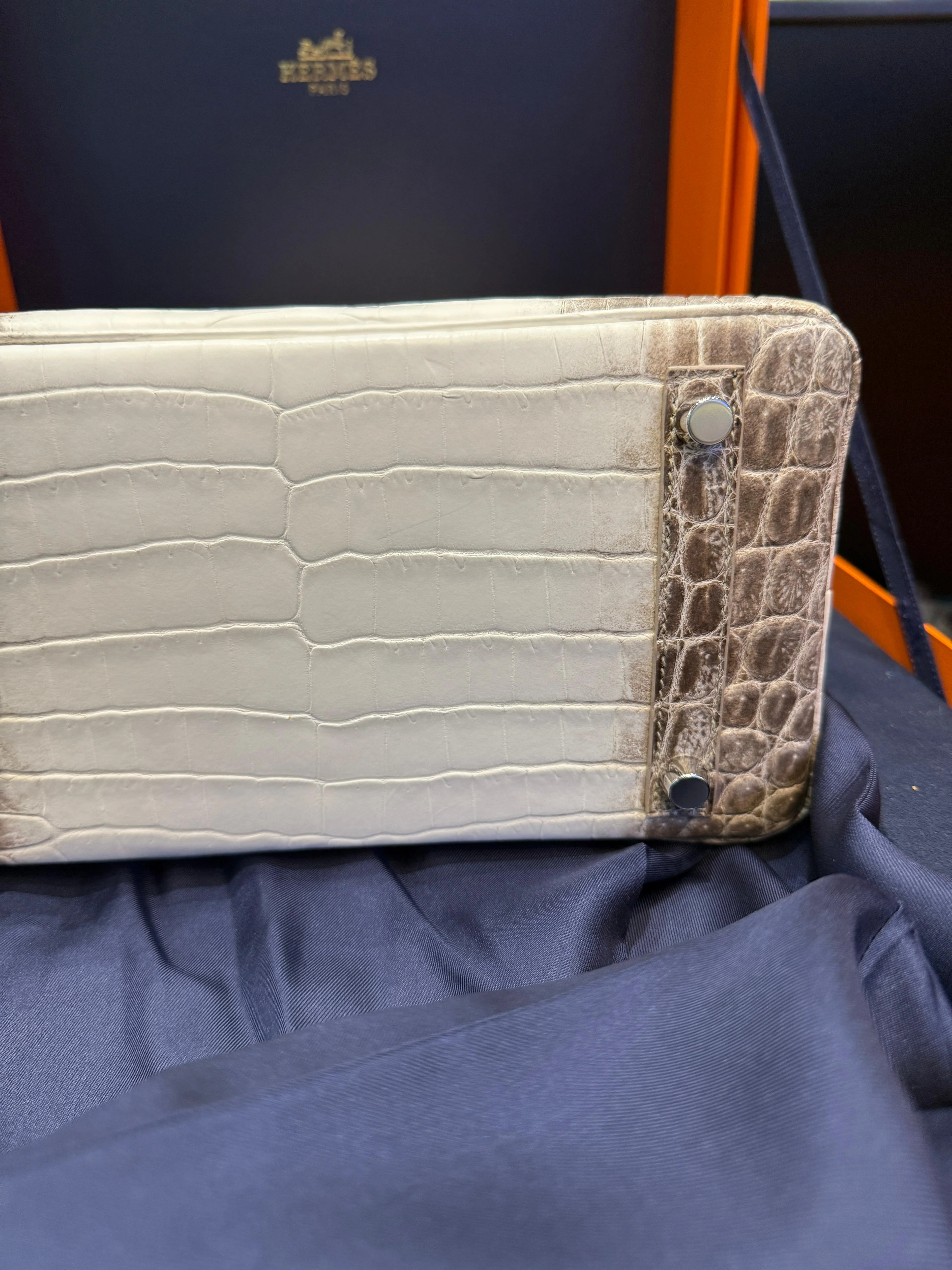 Hermès Birkin 25 Himalaya Niloticus Crocodile Diamond Encrusted Hardware - Image 8