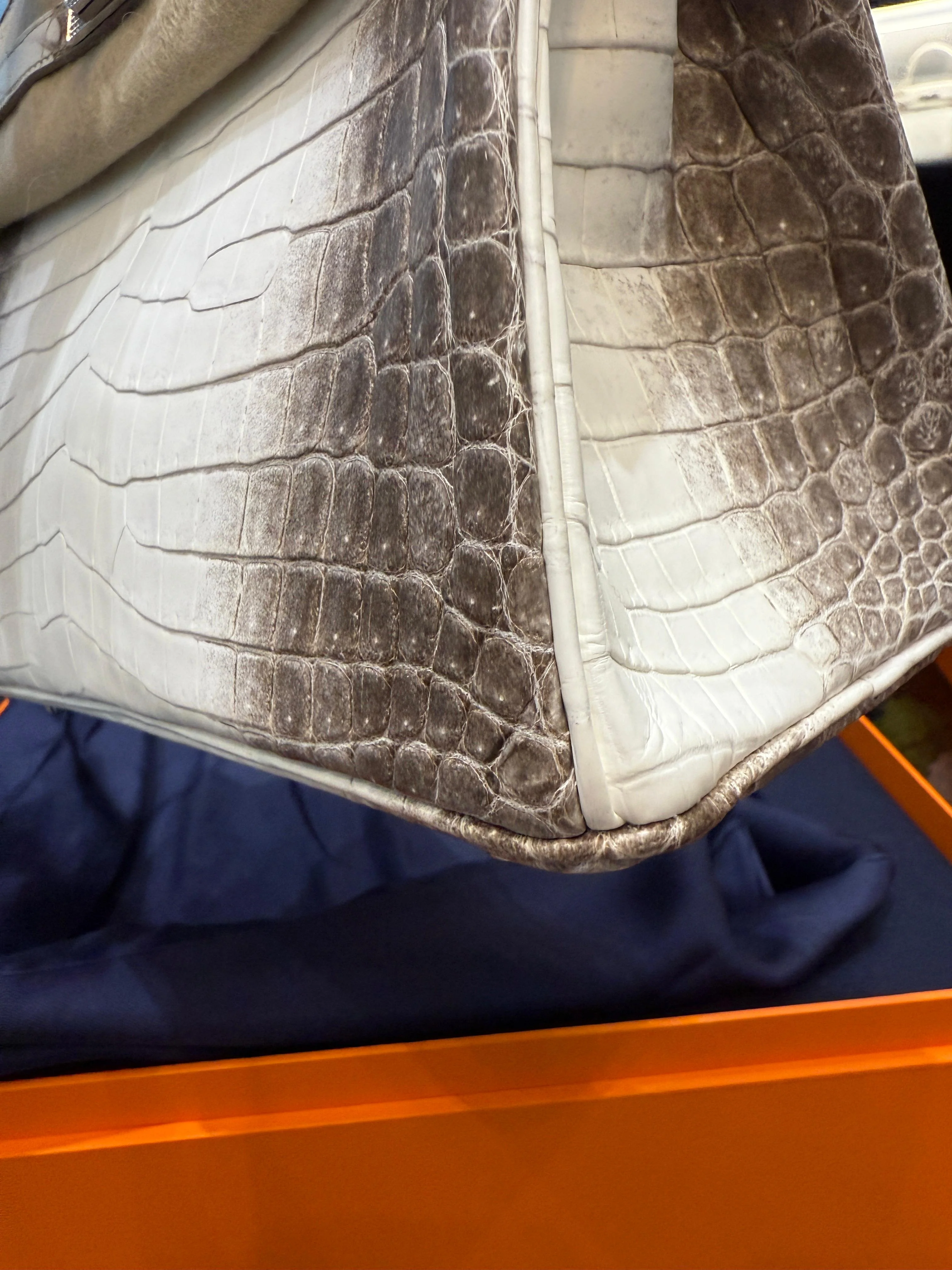Hermès Birkin 25 Himalaya Niloticus Crocodile Diamond Encrusted Hardware - Image 9