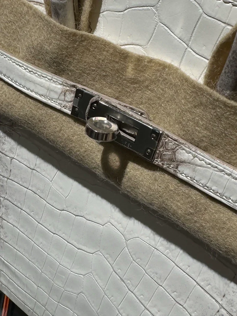 Hermes Birkin 25 Himalayan crocodile leather palladium hardware - Image 2