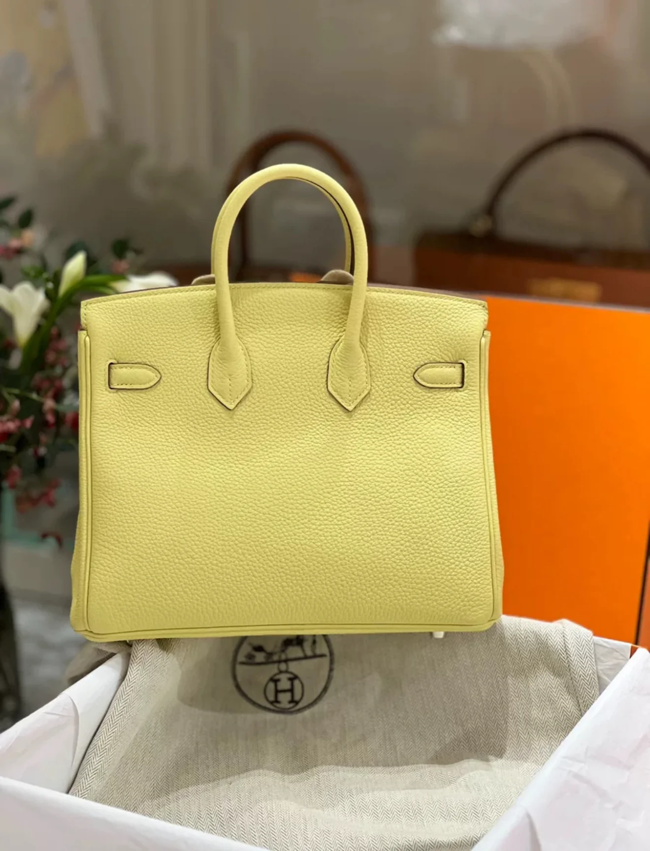 Hermes Birkin 25 Jaune Poussin Togo Leather Palladium Hardware Handbag - Image 3
