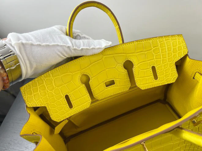 Hermes Birkin 25 Lime Yellow Matte Crocodile Gold Hardware Handbag - Image 21