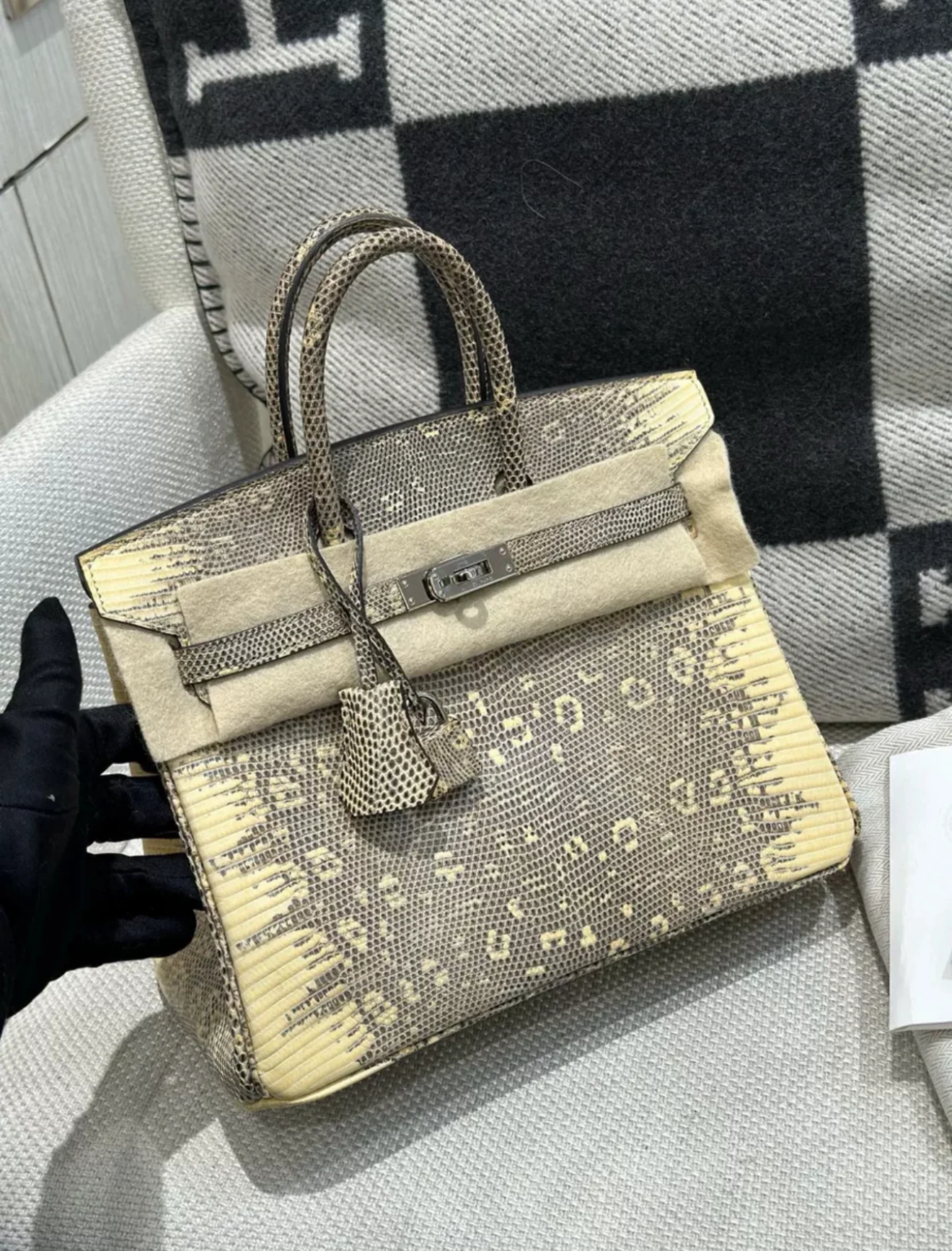 Hermès Birkin 25 Ombre Varanus Salvator Lizard Palladium Hardware - Image 2
