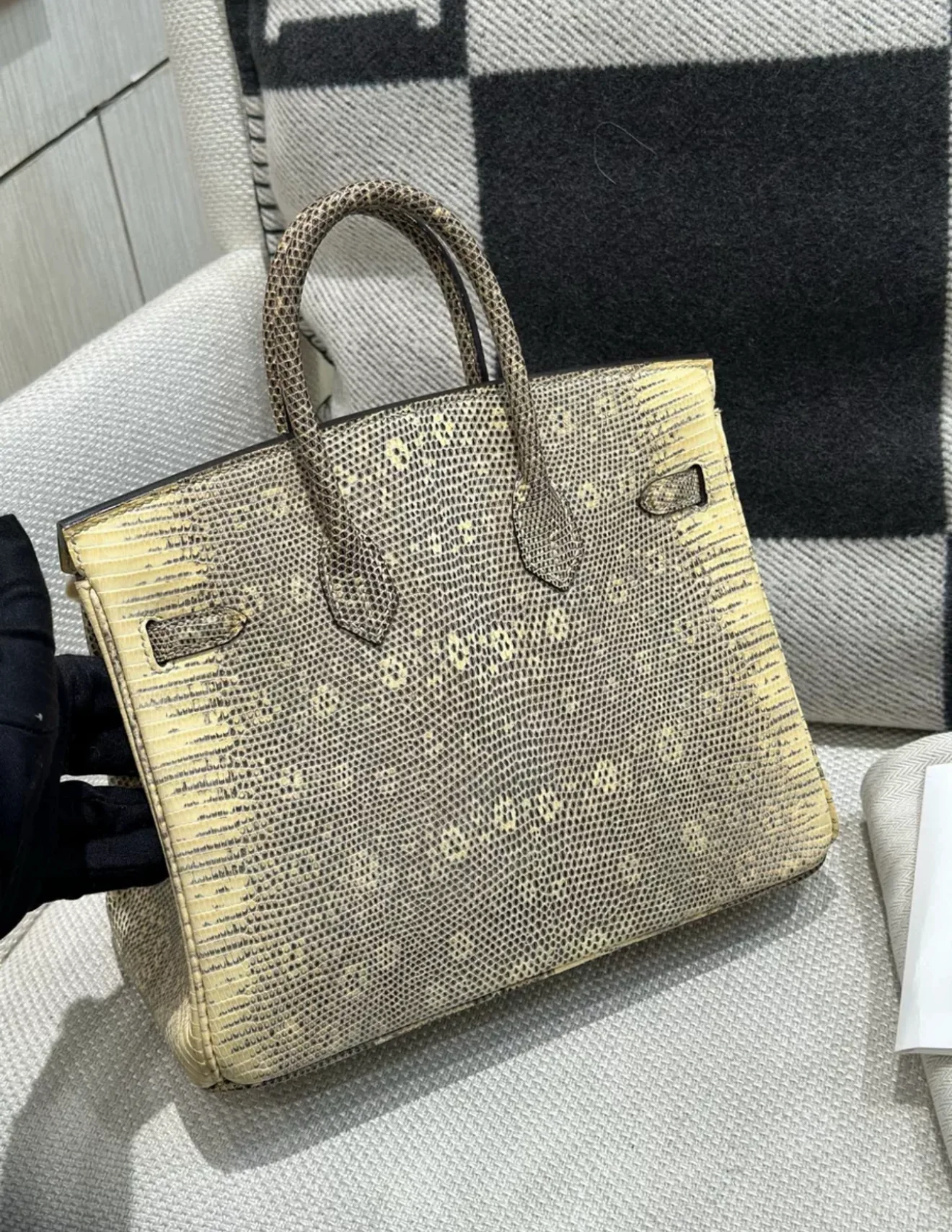 Hermès Birkin 25 Ombre Varanus Salvator Lizard Palladium Hardware - Image 3