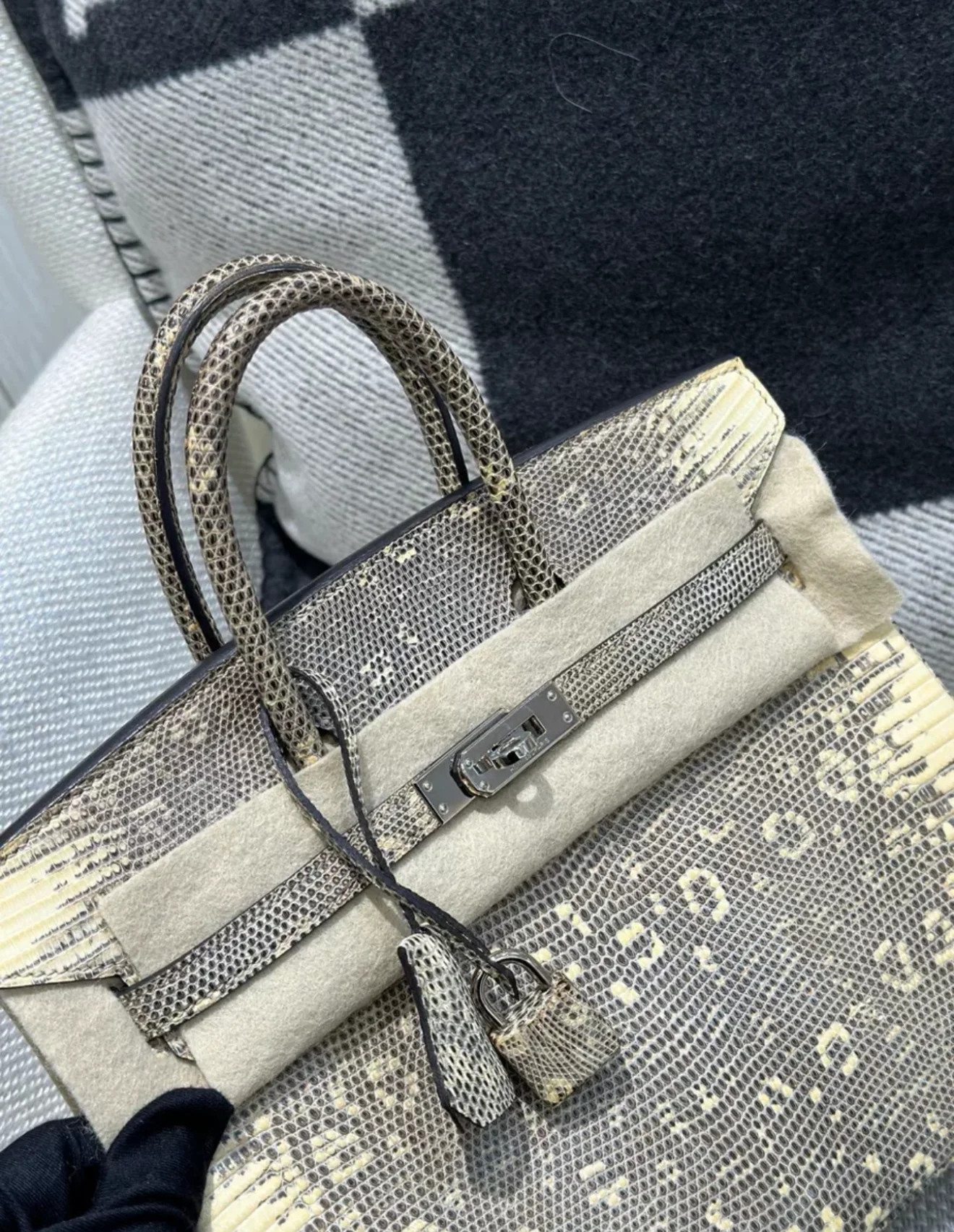 Hermès Birkin 25 Ombre Varanus Salvator Lizard Palladium Hardware - Image 7