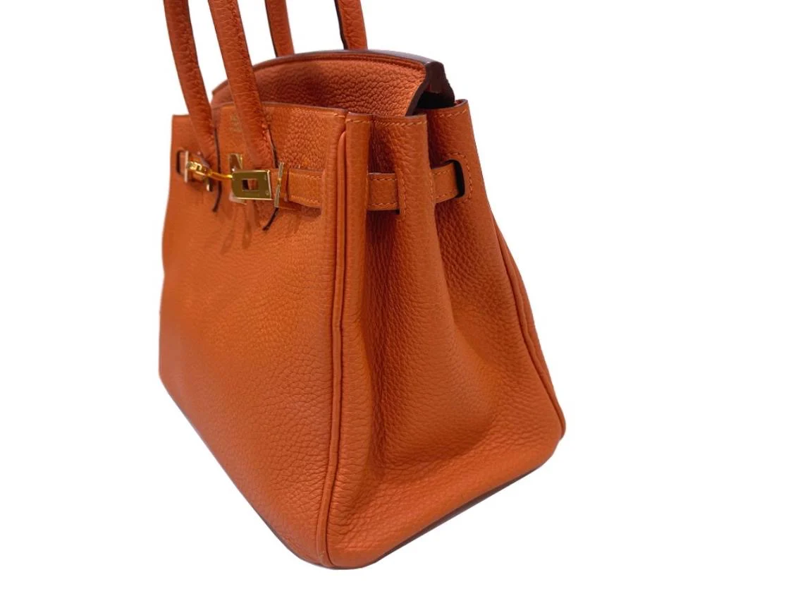 Hermes Birkin 25 Orange Togo Leather Gold Hardware - Image 7