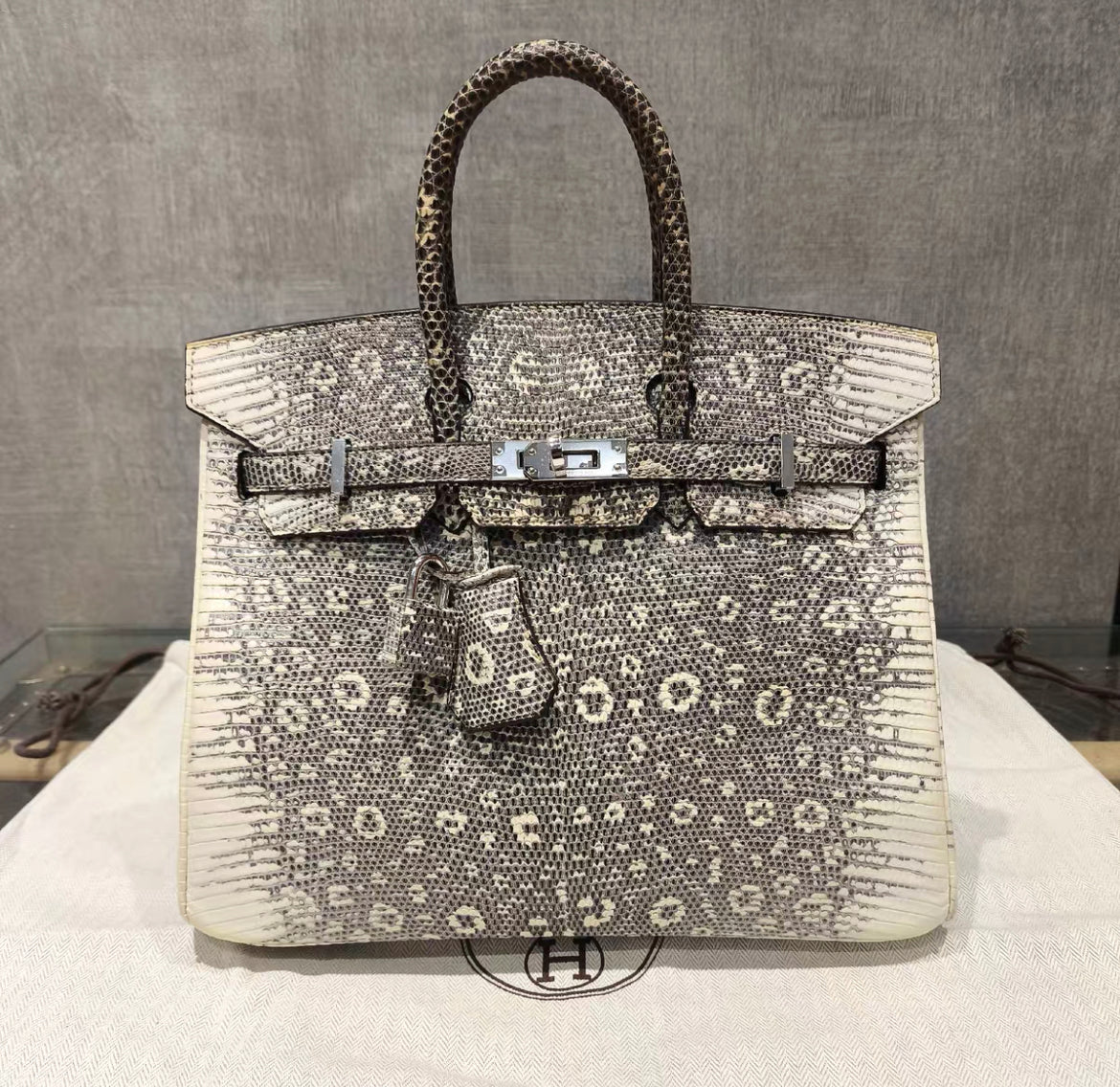 HERMÈS BIRKIN 25 SELLIER OMBRE LIZARD PALLADIUM HARDWARE - Image 2