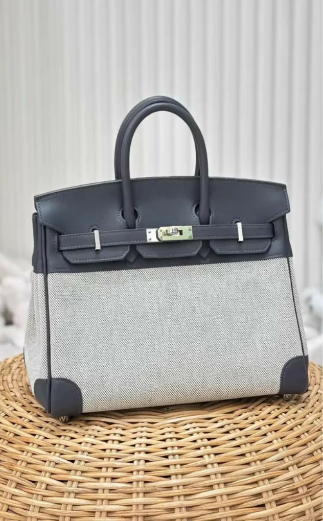 HERMÈS Birkin 25 Gris misty Swift Toile H Palladium hardware