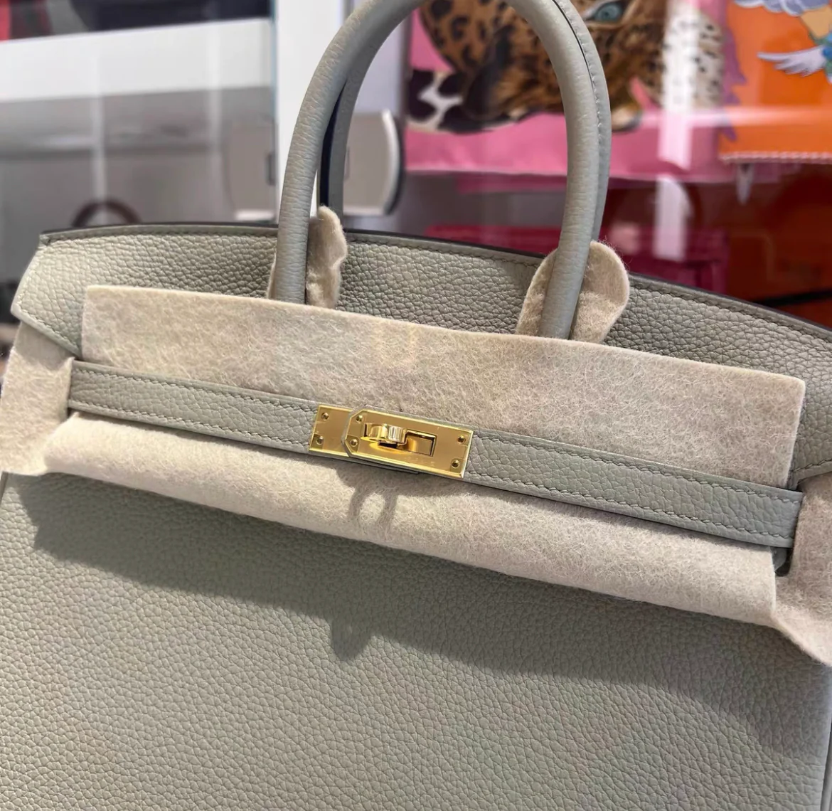 Hermes Birkin 25 Togo leather in Gris Neve - Grey with Gold Hardware - Image 6