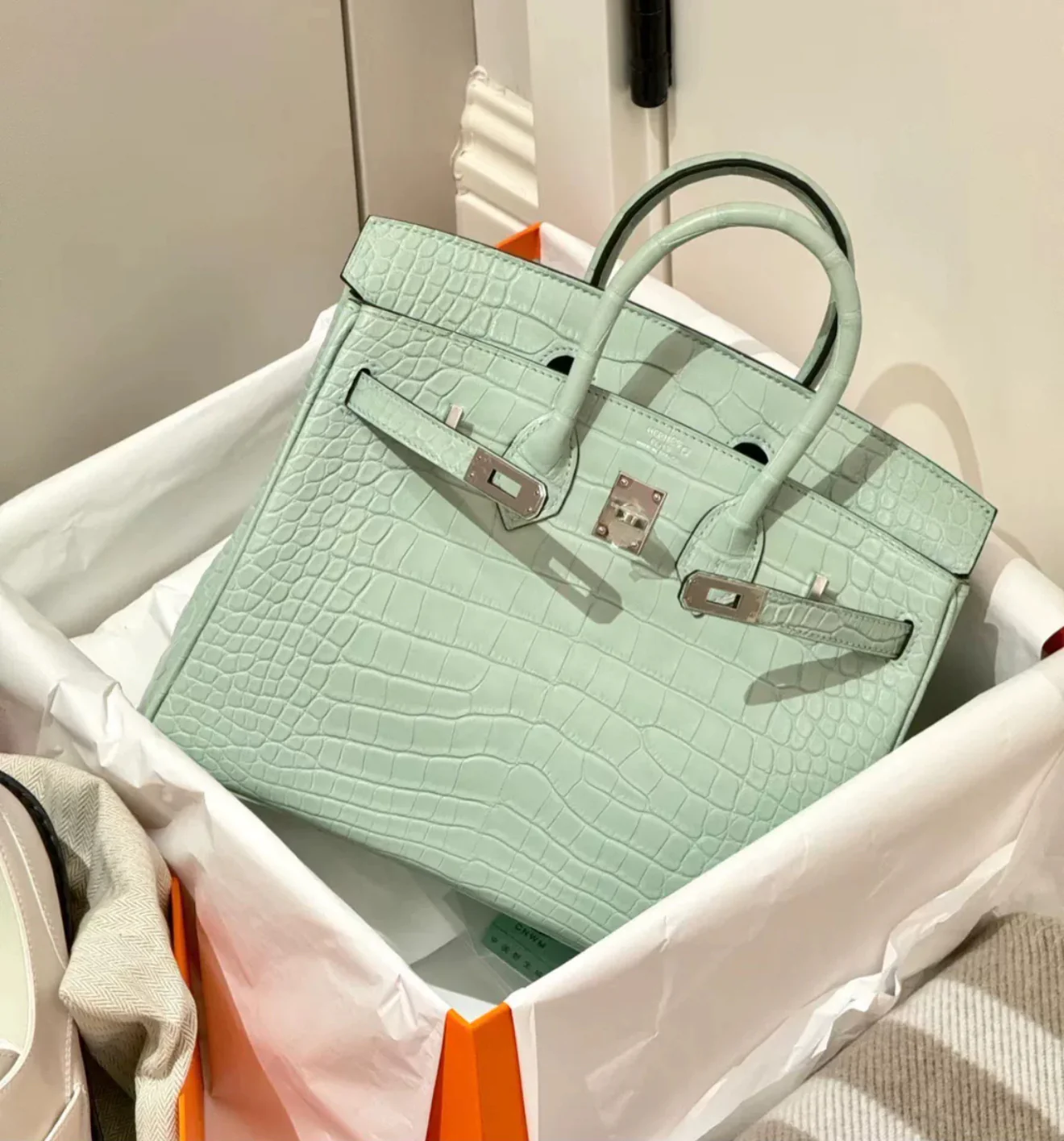 Hermès Birkin 25 Vert d'Eau Matt Alligator Palladium Hardware