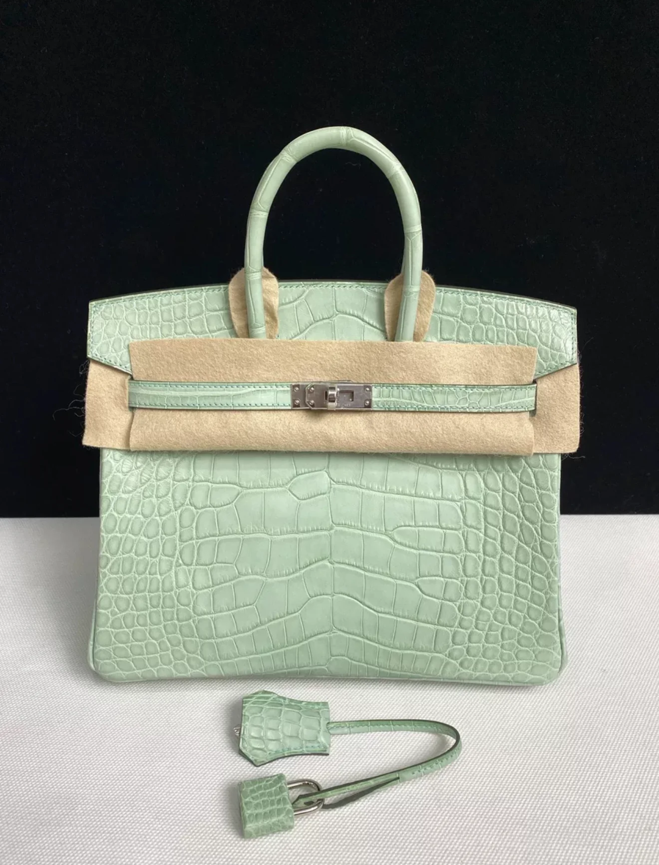 Hermès Birkin 25 Vert d'Eau Matt Alligator Palladium Hardware - Image 2