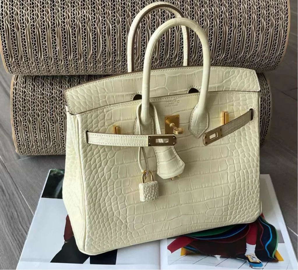 Hermès Birkin 25 Vanille Matte Alligator Gold Hardware - Image 2