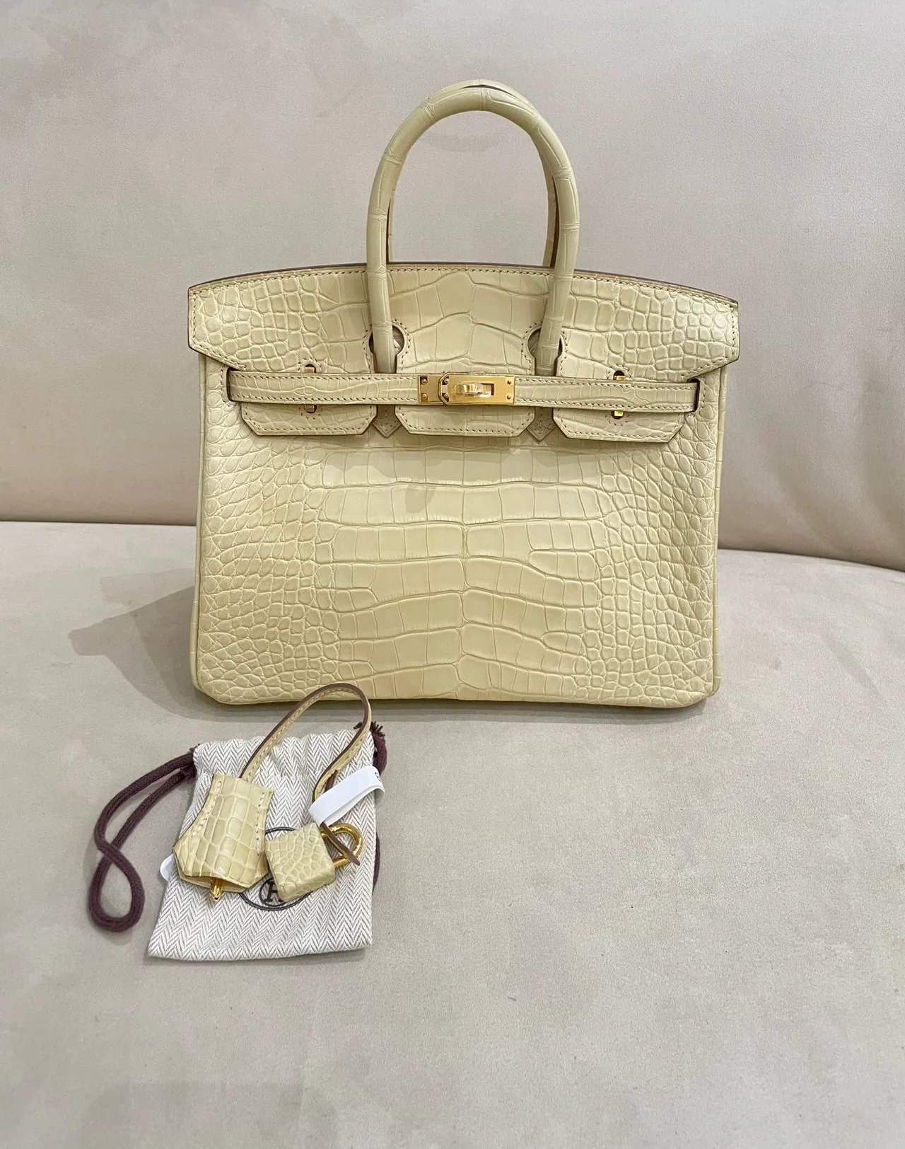 Hermes Birkin 25 Y1 Vanille Matte Crocodile Leather Gold Hardware
