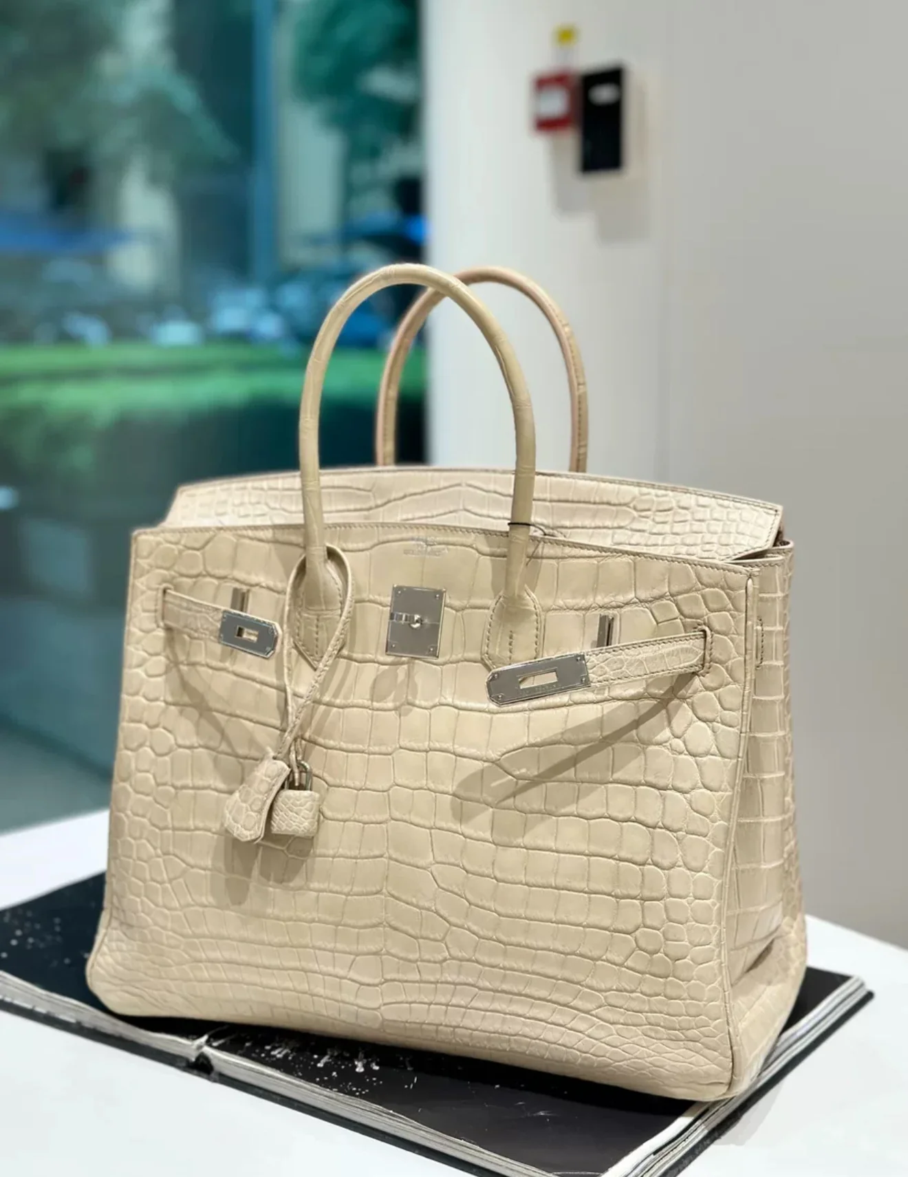 Hermès Birkin 35 Betton Matte Crocodile Leather Palladium hardware - Image 2