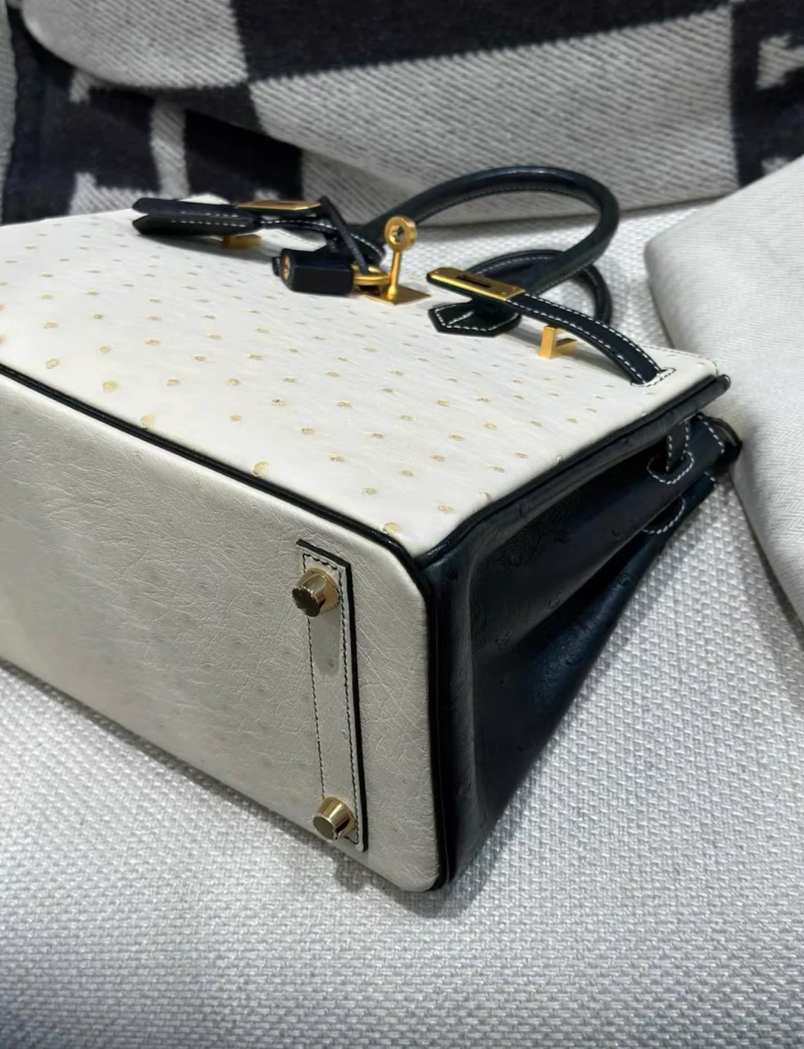 Hermès Birkin HSS 25 Nata/Black Ostrich Brushed Gold Hardware Handbag - Image 5